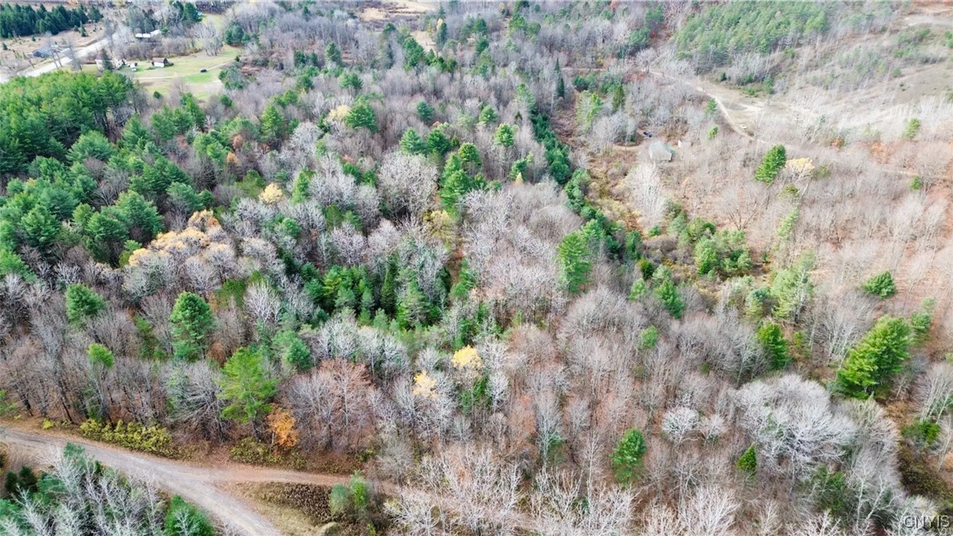 Property at Lot 3 & 4 Goldmine Tract, Salisbury, NY 13329 33