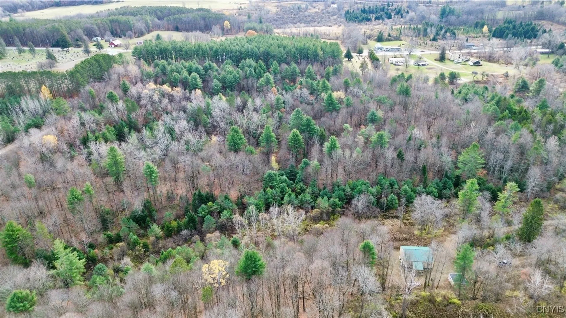 Property at Lot 3 & 4 Goldmine Tract, Salisbury, NY 13329 35
