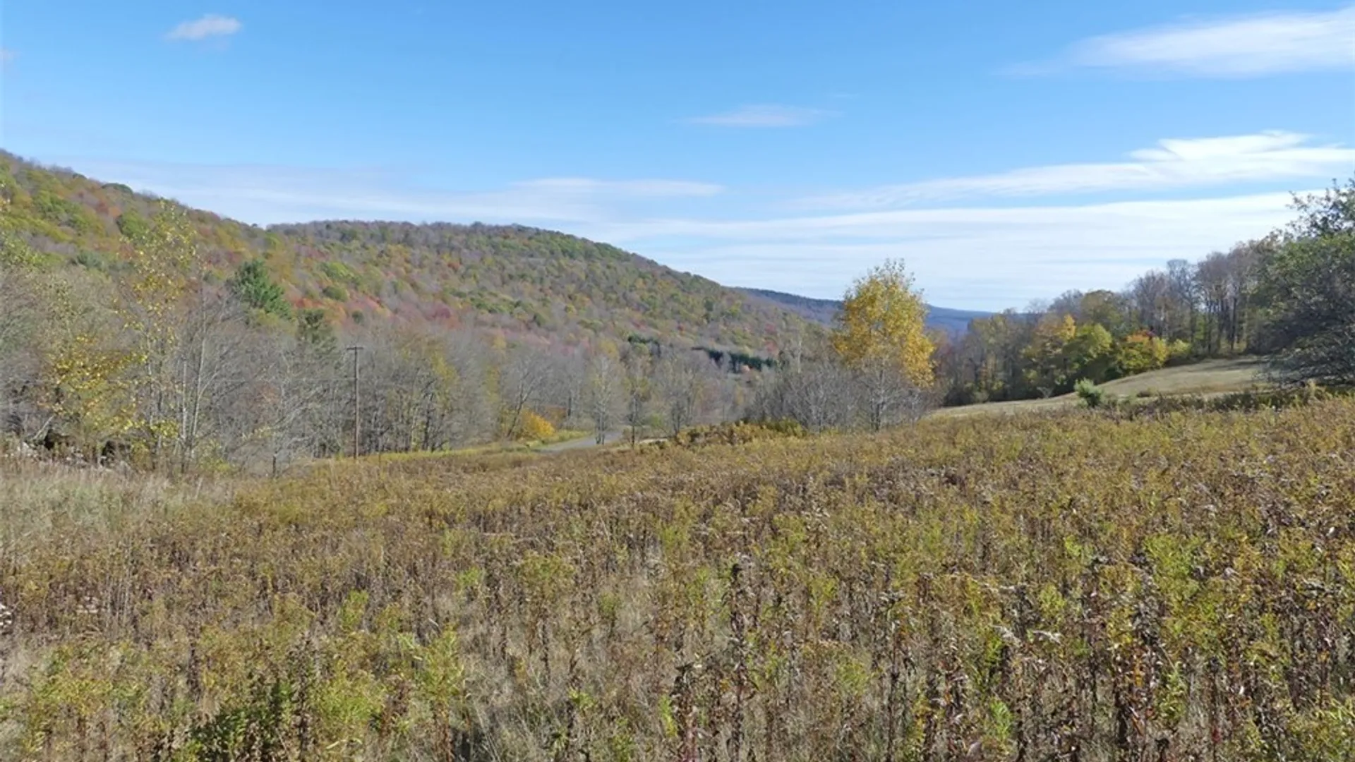 Property at 606 Bussey Hollow Road, Andes, NY 13731 3