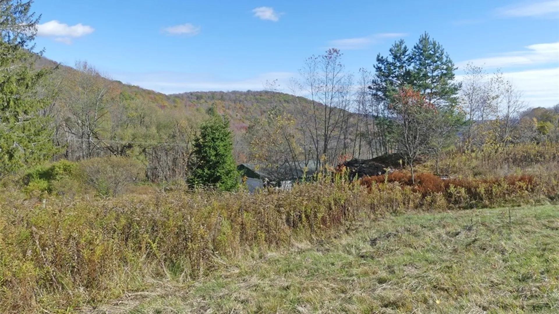 Property at 606 Bussey Hollow Road, Andes, NY 13731 4