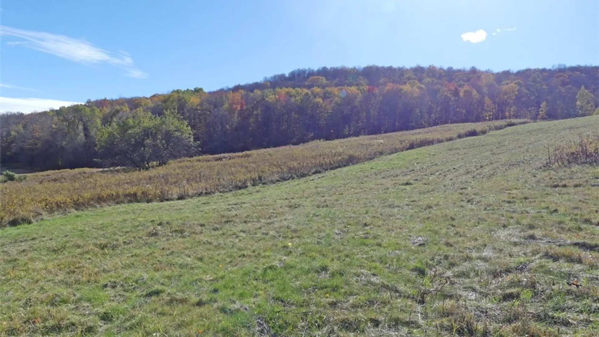 Property at 606 Bussey Hollow Road, Andes, NY 13731 11