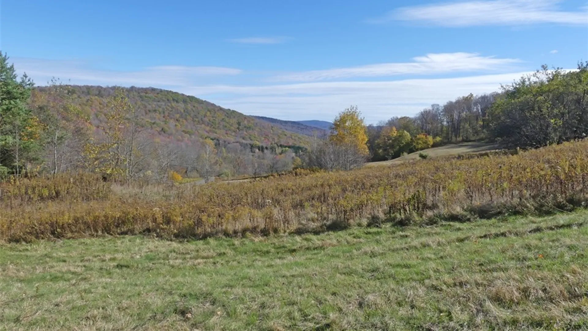 Property at 606 Bussey Hollow Road, Andes, NY 13731 13