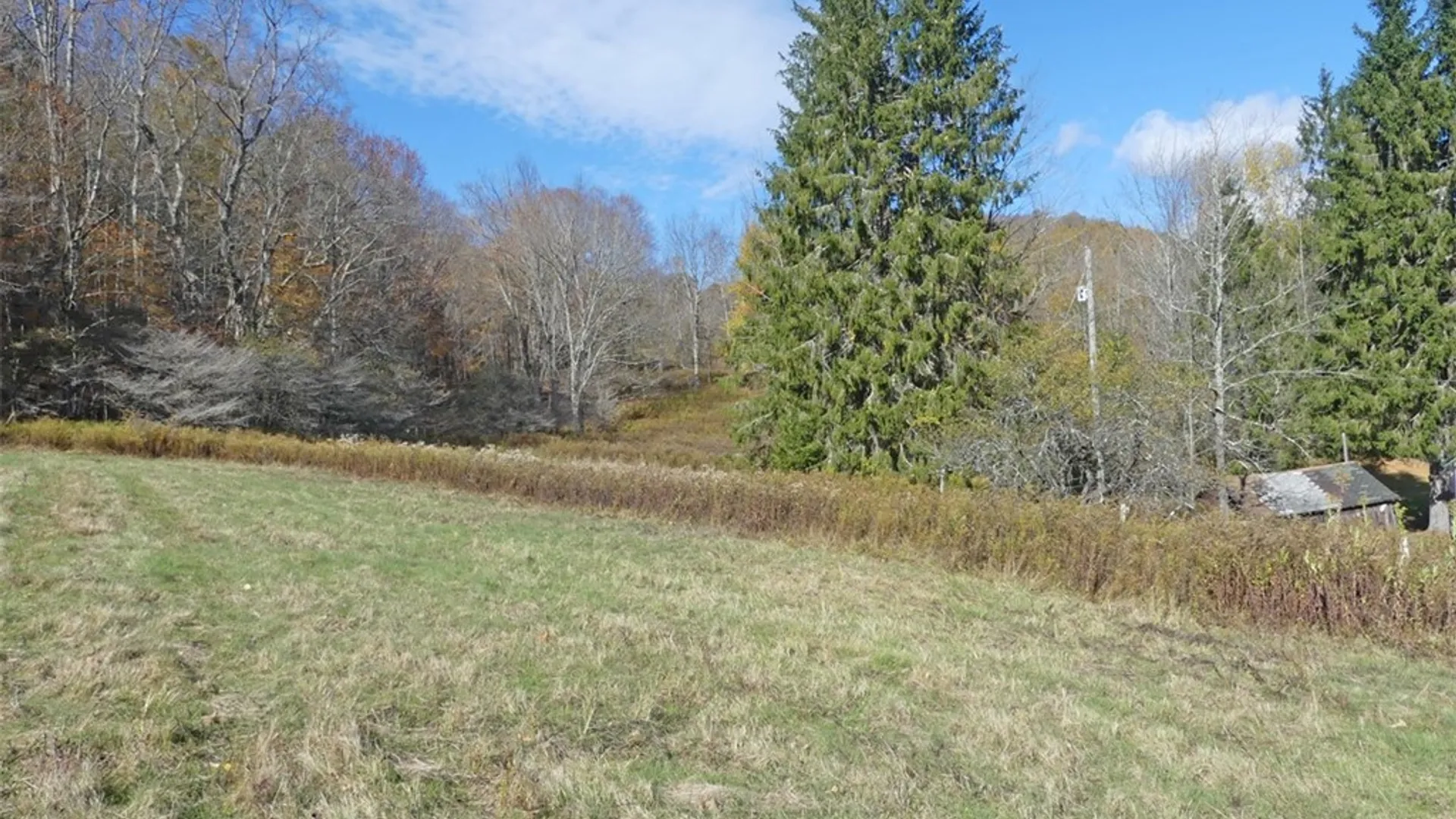 Property at 606 Bussey Hollow Road, Andes, NY 13731 14