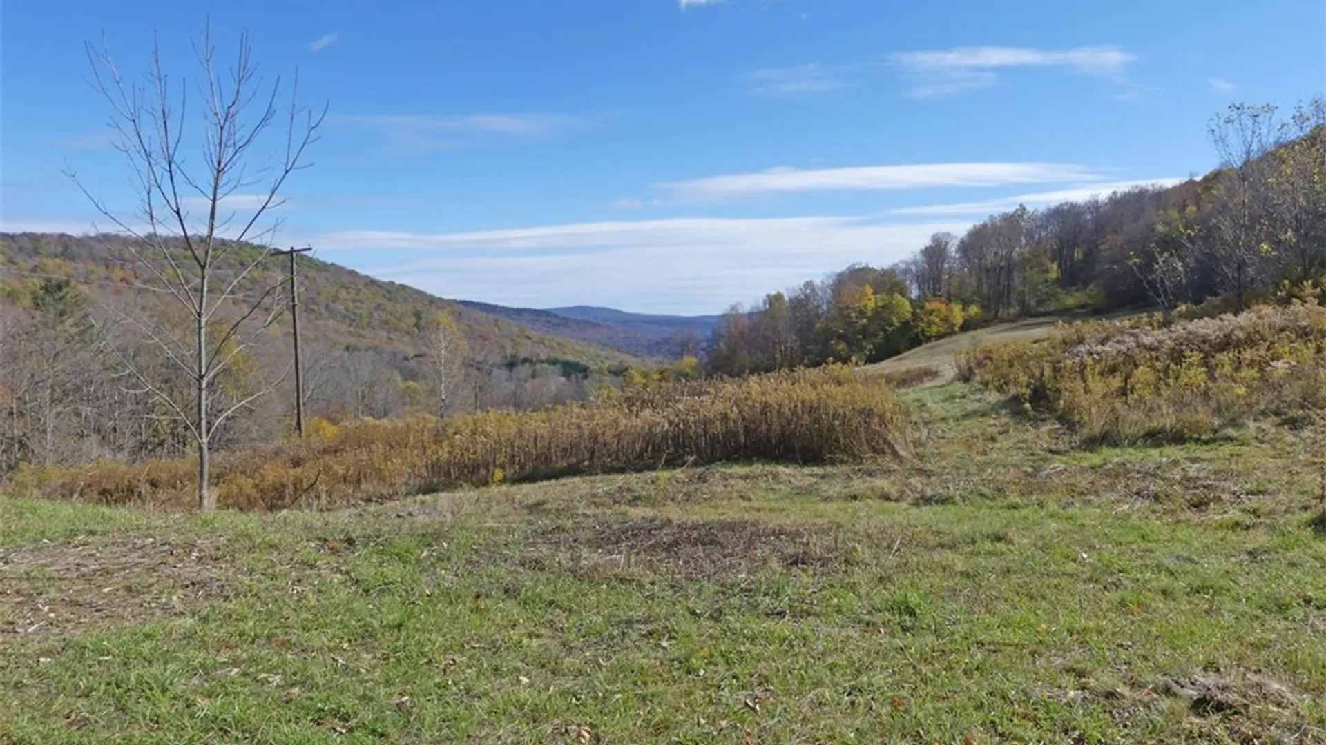 Property at 606 Bussey Hollow Road, Andes, NY 13731 15