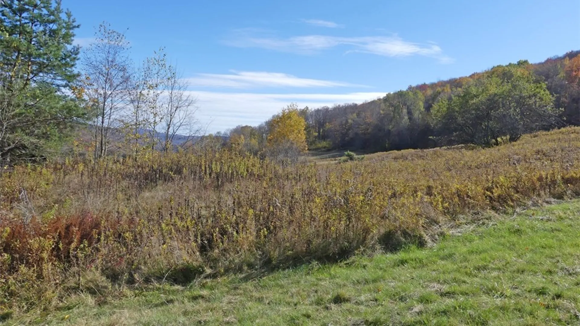 Property at 606 Bussey Hollow Road, Andes, NY 13731 16