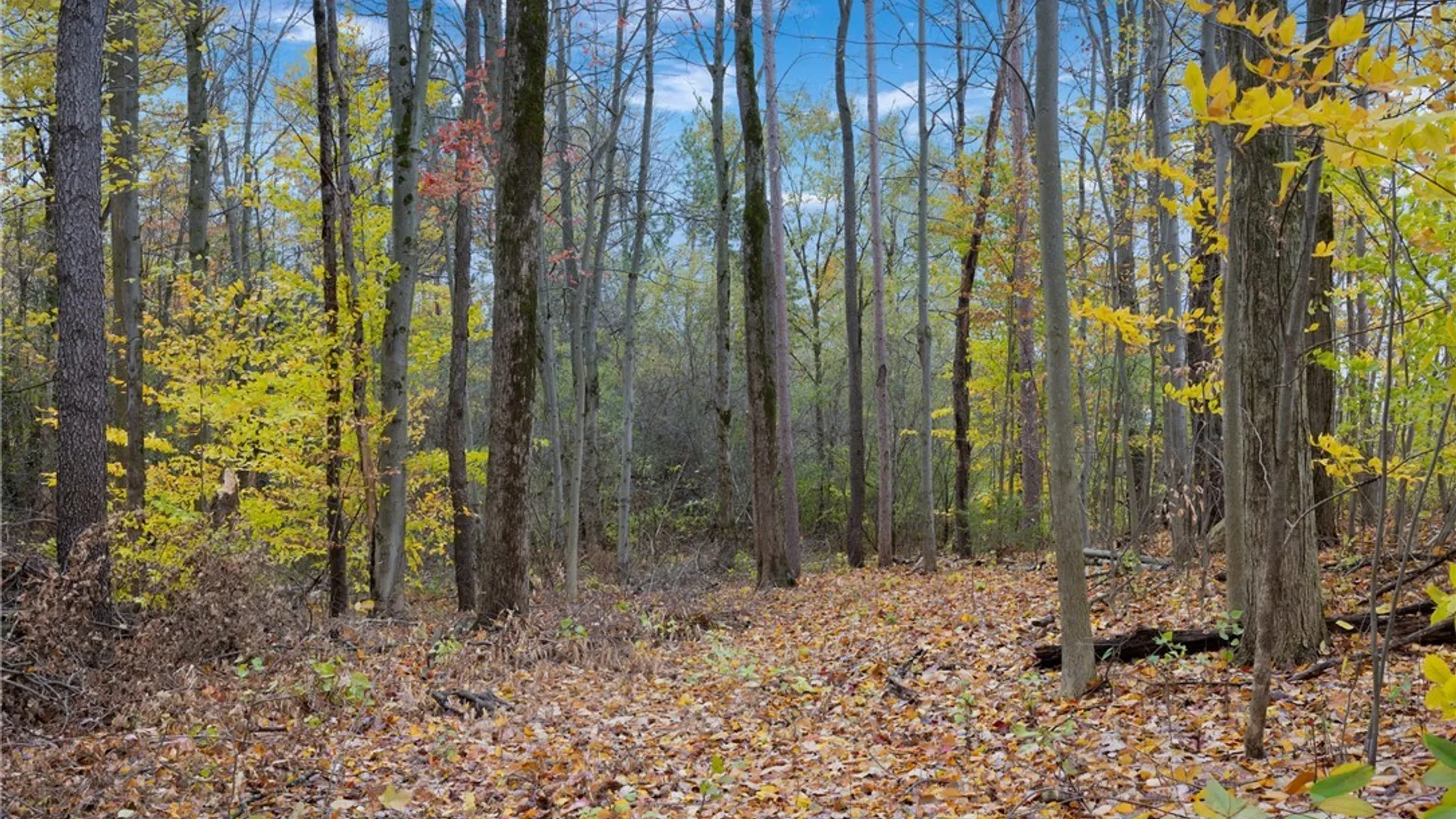 Property at Lot # 30 Calemad Drive, Sennett, NY 13021 5