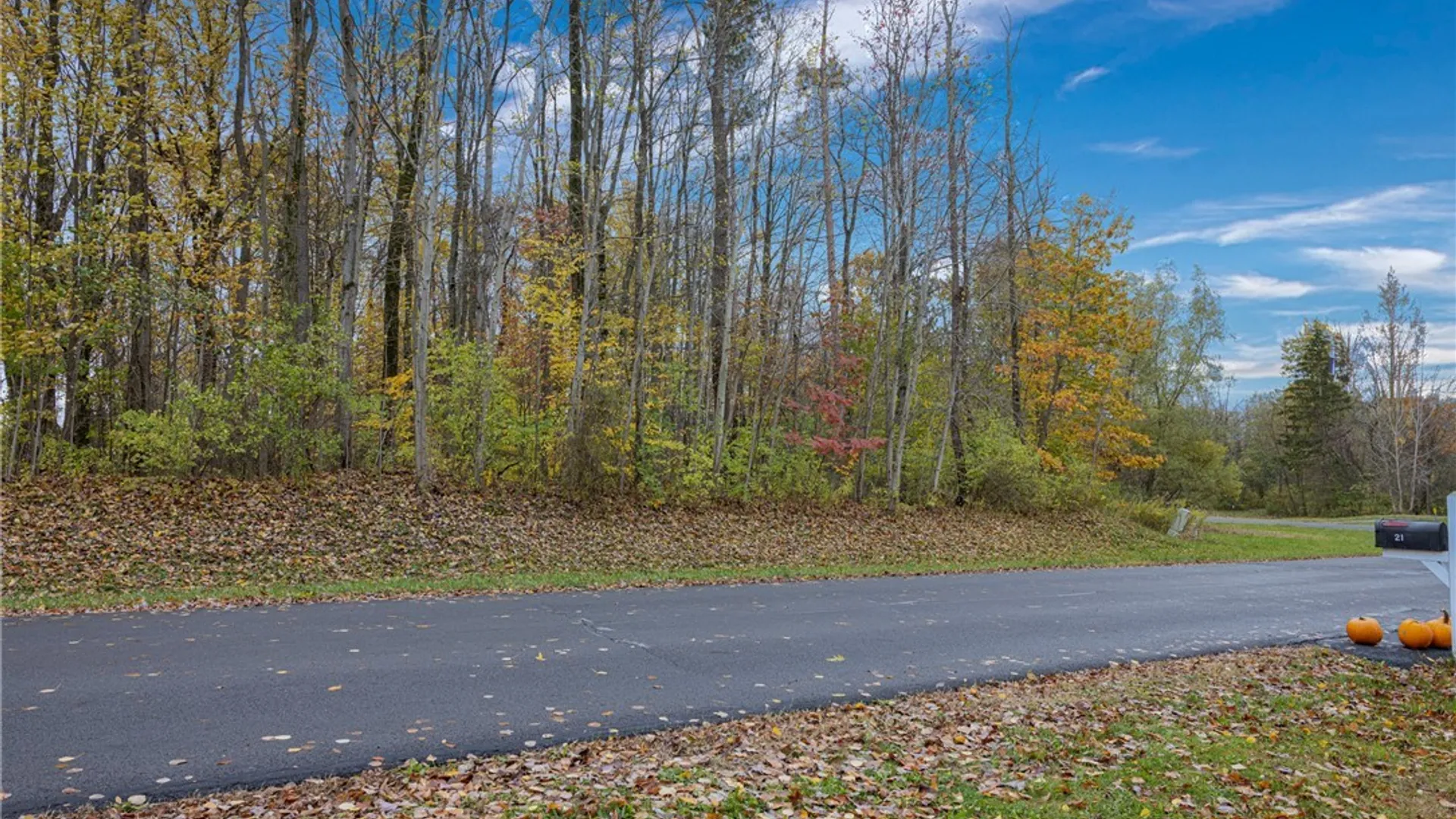 Property at Lot # 30 Calemad Drive, Sennett, NY 13021 7