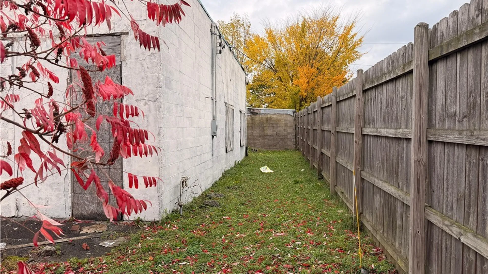 Property at 403 Vermont Street, Buffalo, NY 14213 9