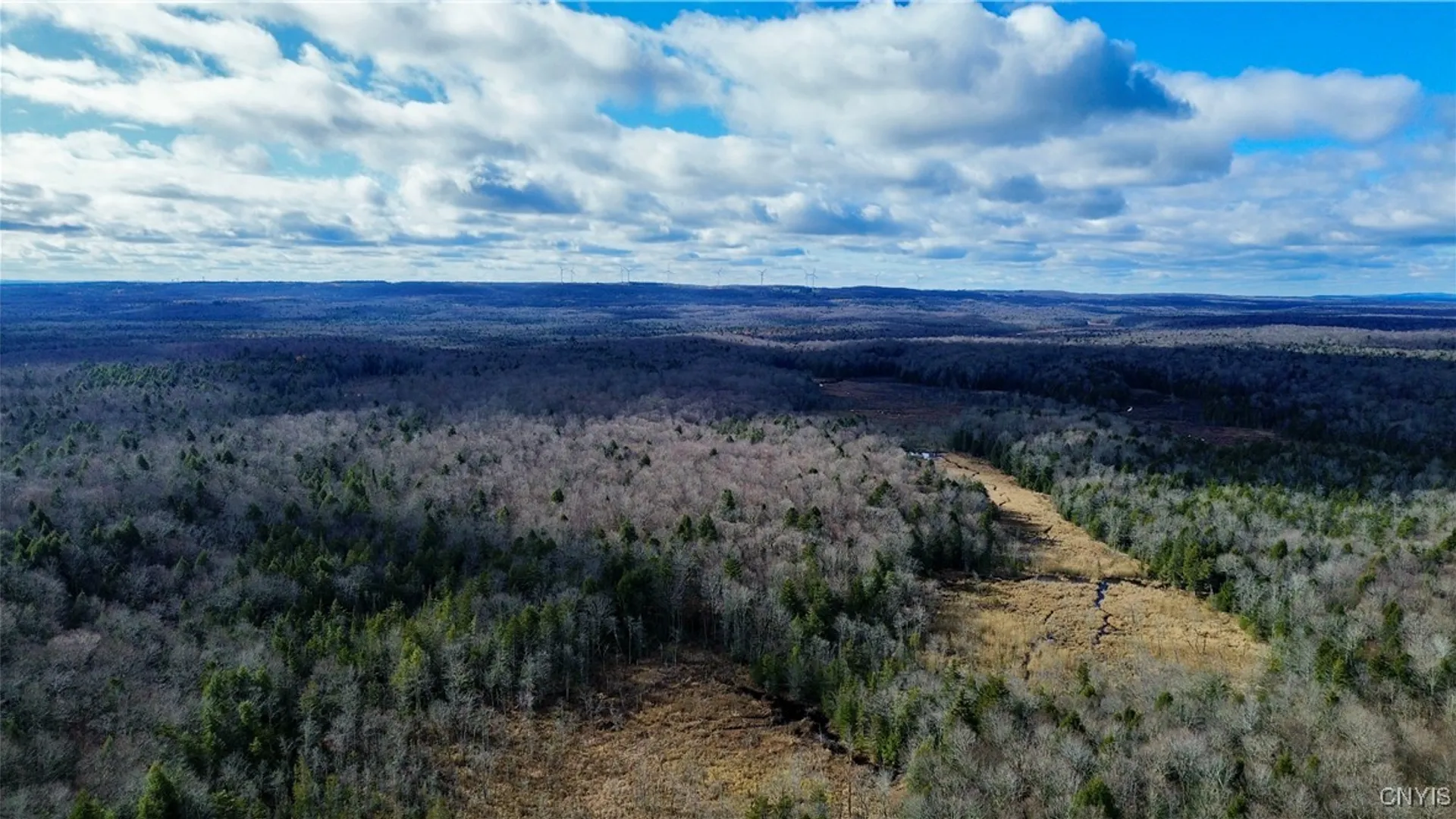 Property at Lot 3 Jerseyfield Road, Salisbury, NY 13365 7