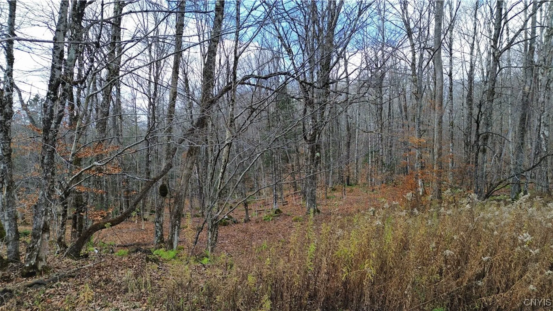 Property at Lot 3 Jerseyfield Road, Salisbury, NY 13365 10