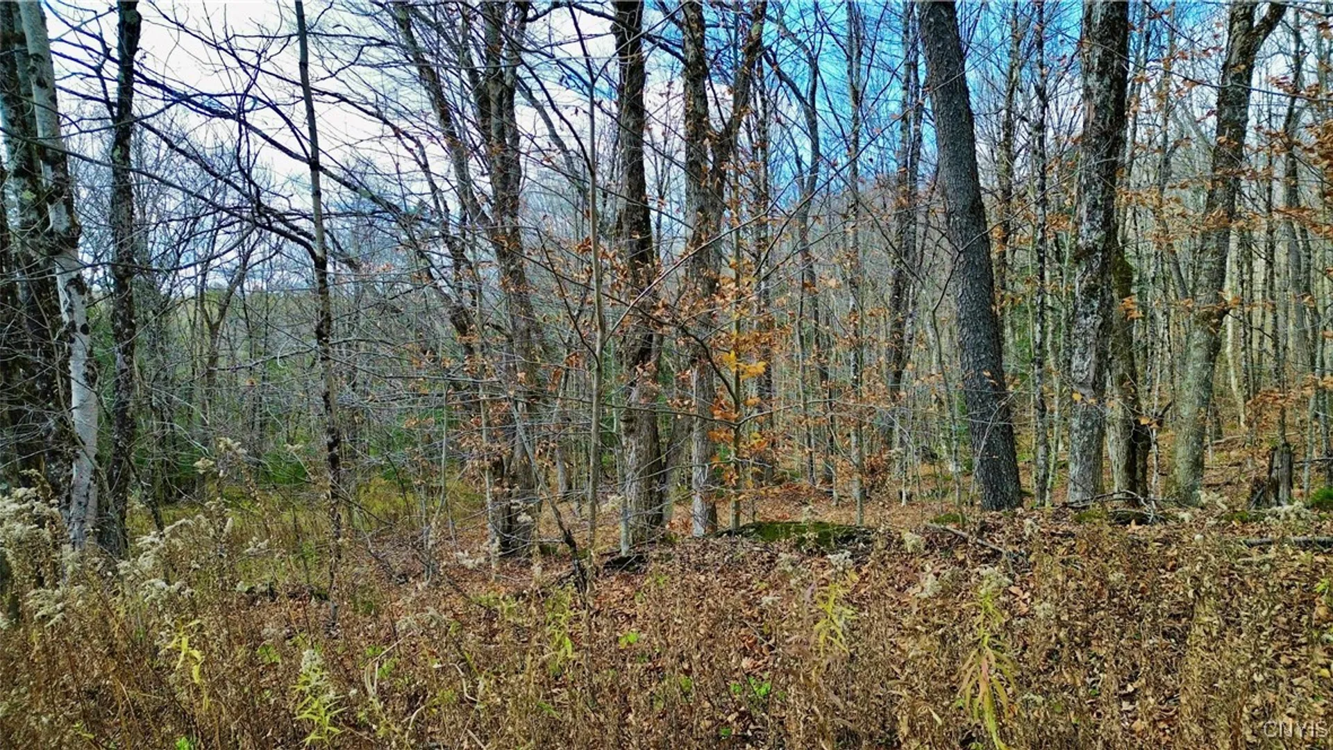 Property at Lot 3 Jerseyfield Road, Salisbury, NY 13365 12