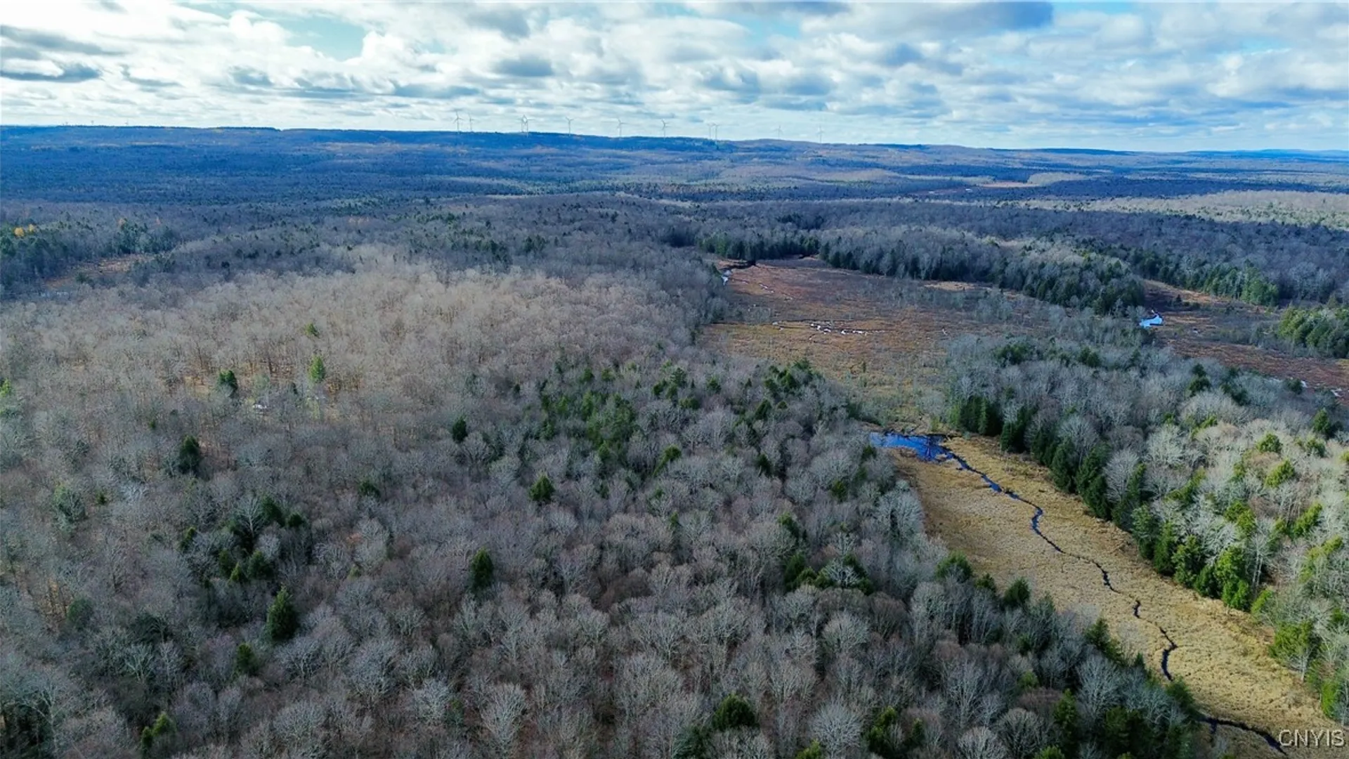 Property at Lot 3 Jerseyfield Road, Salisbury, NY 13365 3