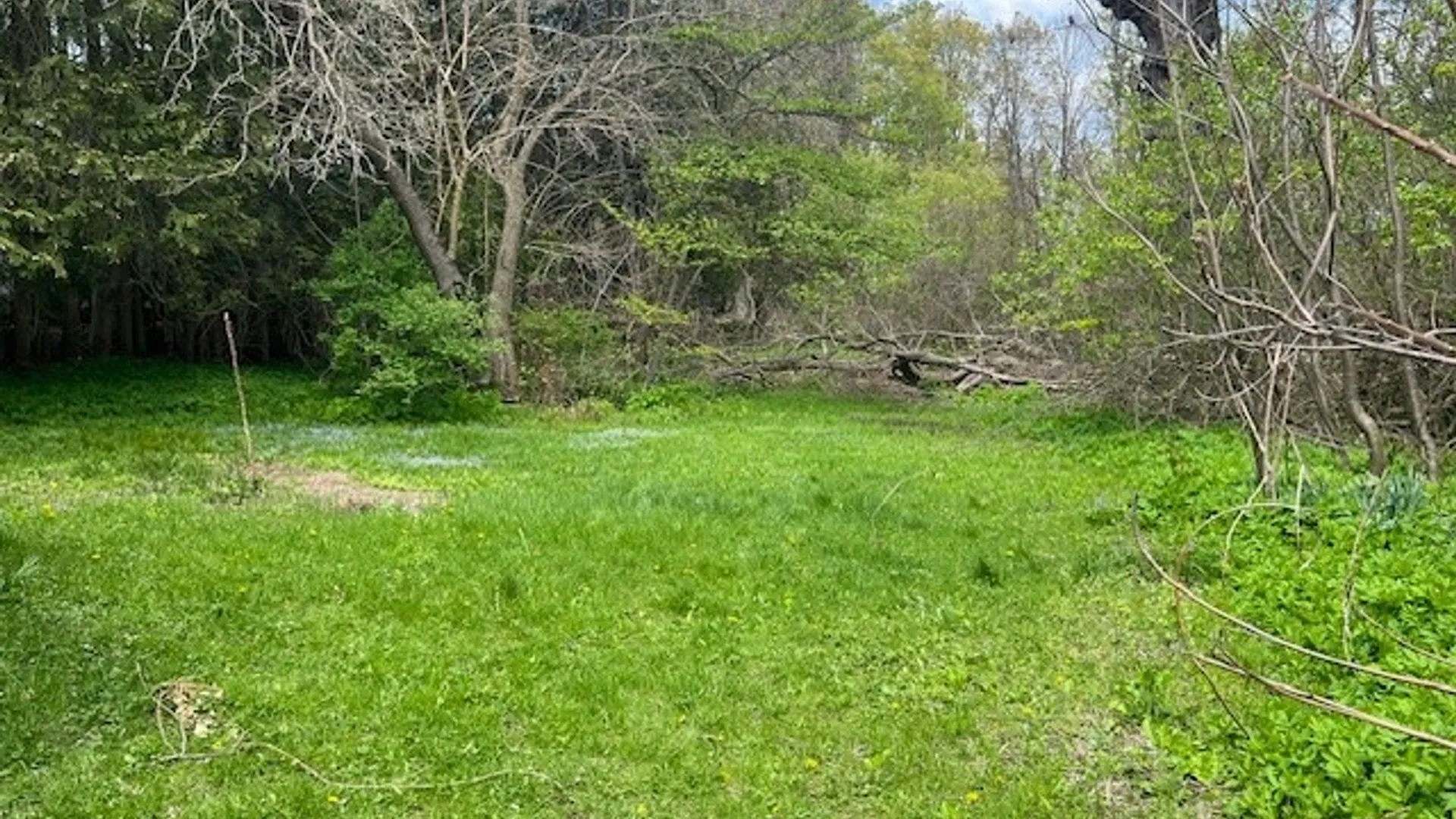 Property at 9605 Morgan Road, Paris, NY 13322 11