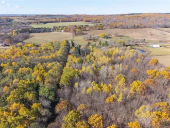 Property at 8387 Carney Hollow Road, Springwater, NY 14572