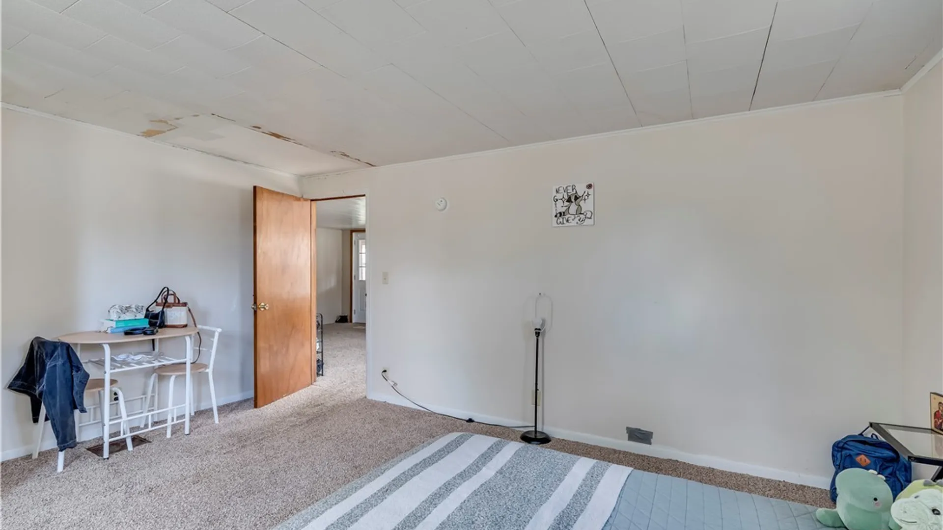 Property at 8133 Wood Road, Diana, NY 13648 21