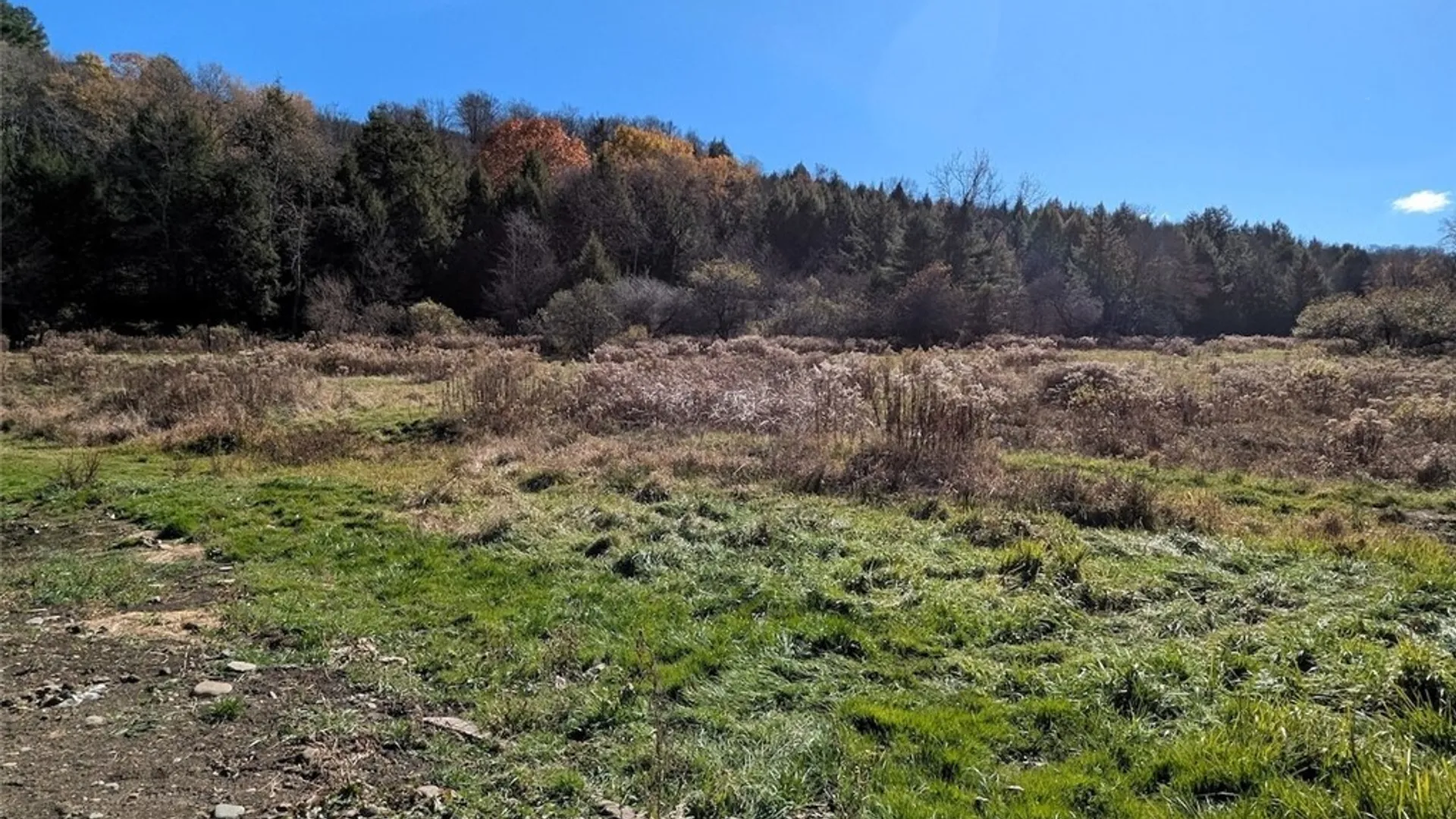 Property at 3829 Fords Brook South, Willing, NY 14895 46