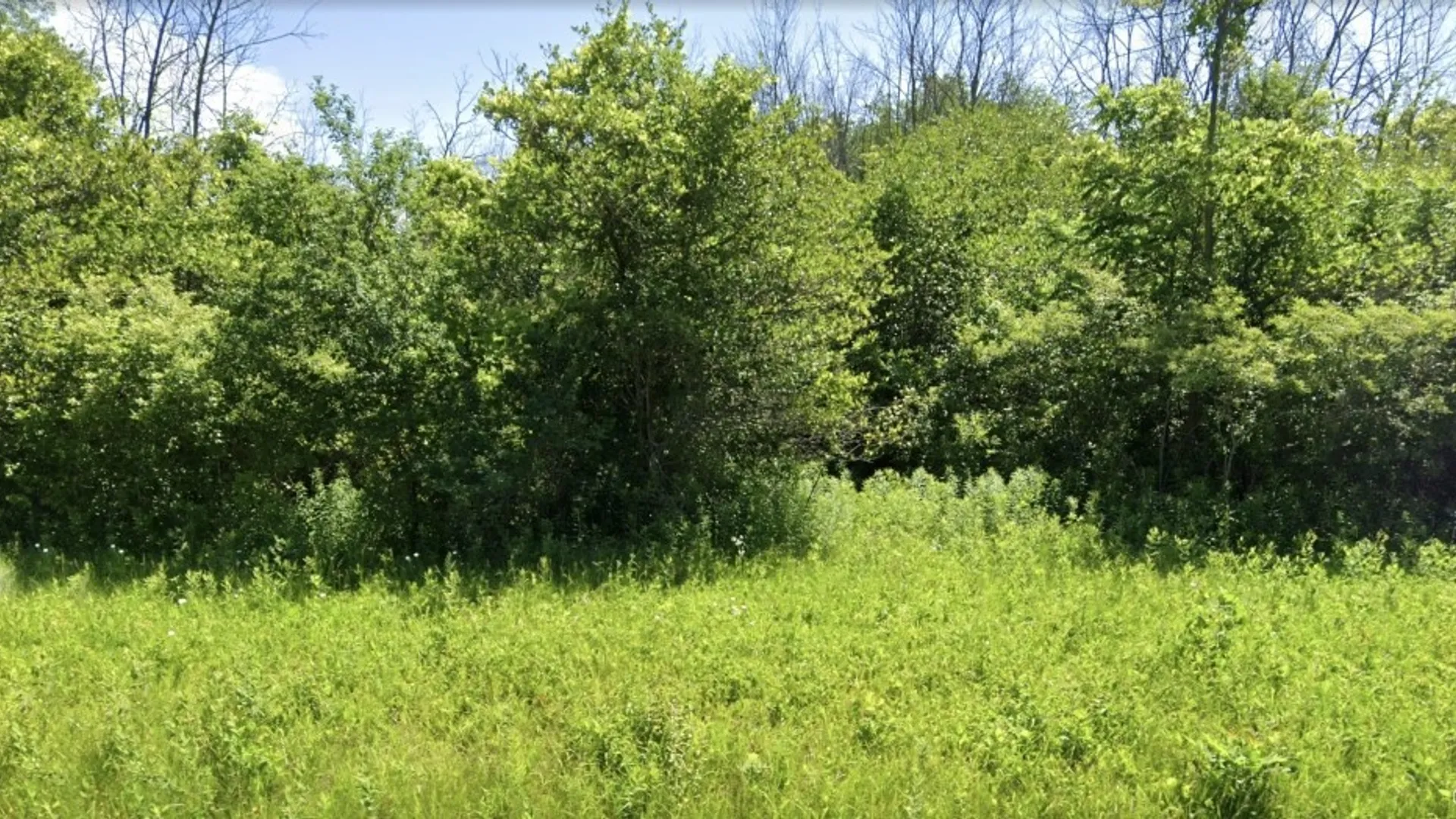 Property at 120 Percy Road, Riga, NY 14428 3