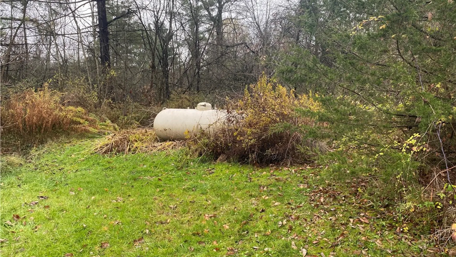Property at 7570 Spencer Lane, West Sparta, NY 14437 46