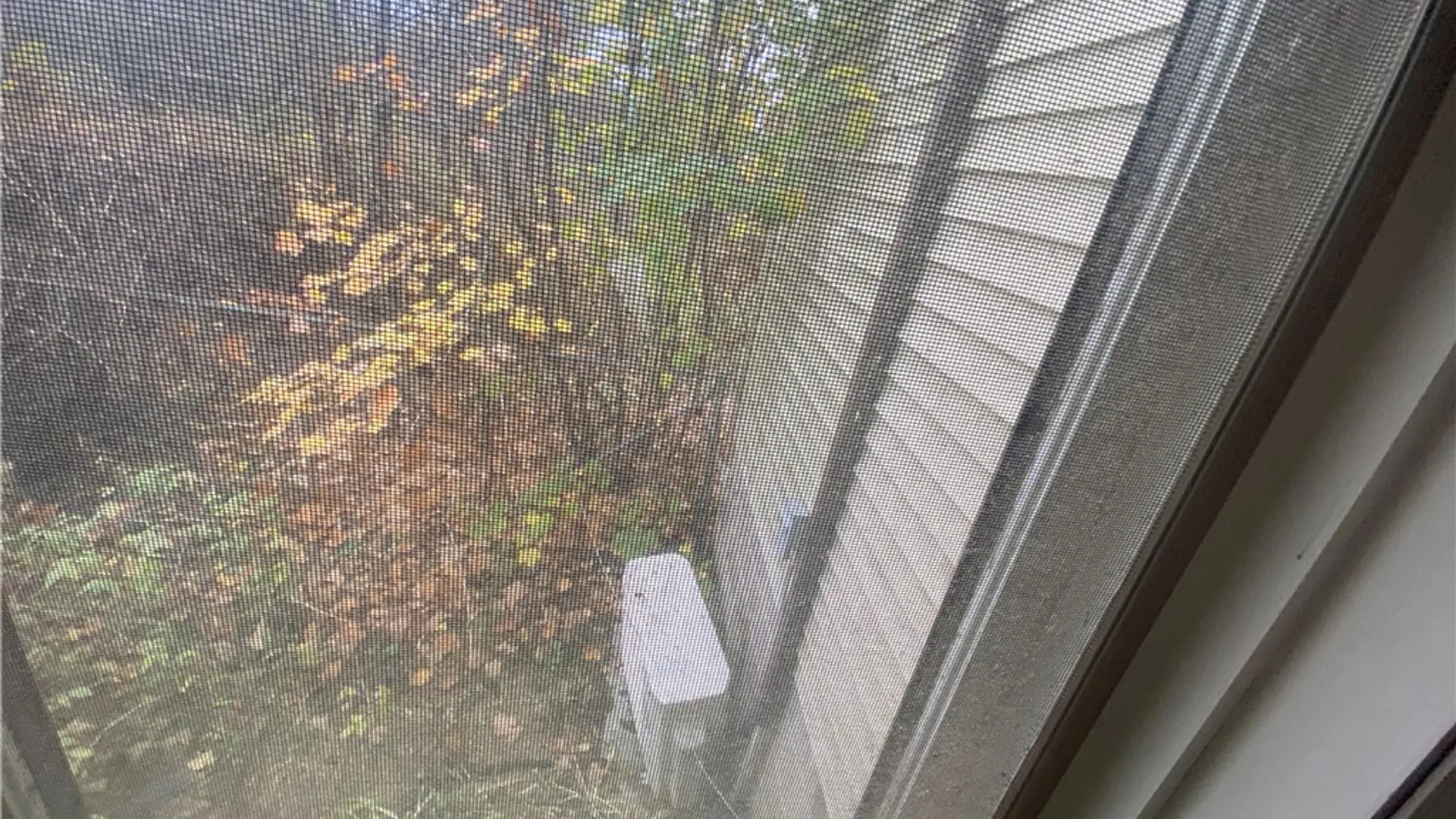 Property at 7570 Spencer Lane, West Sparta, NY 14437 48