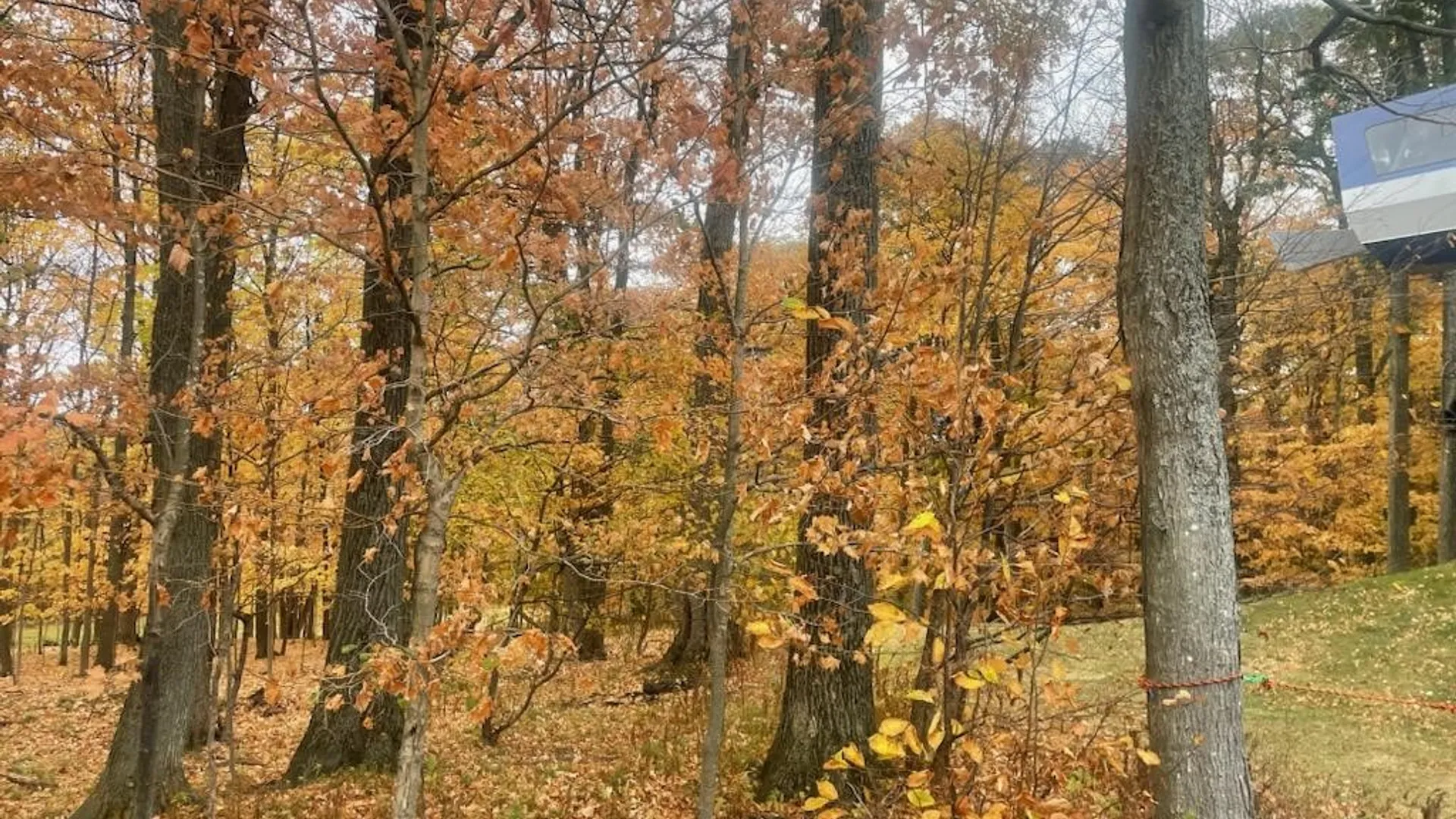 Property at 6449 Co Rd 21, Naples, NY 14512 3