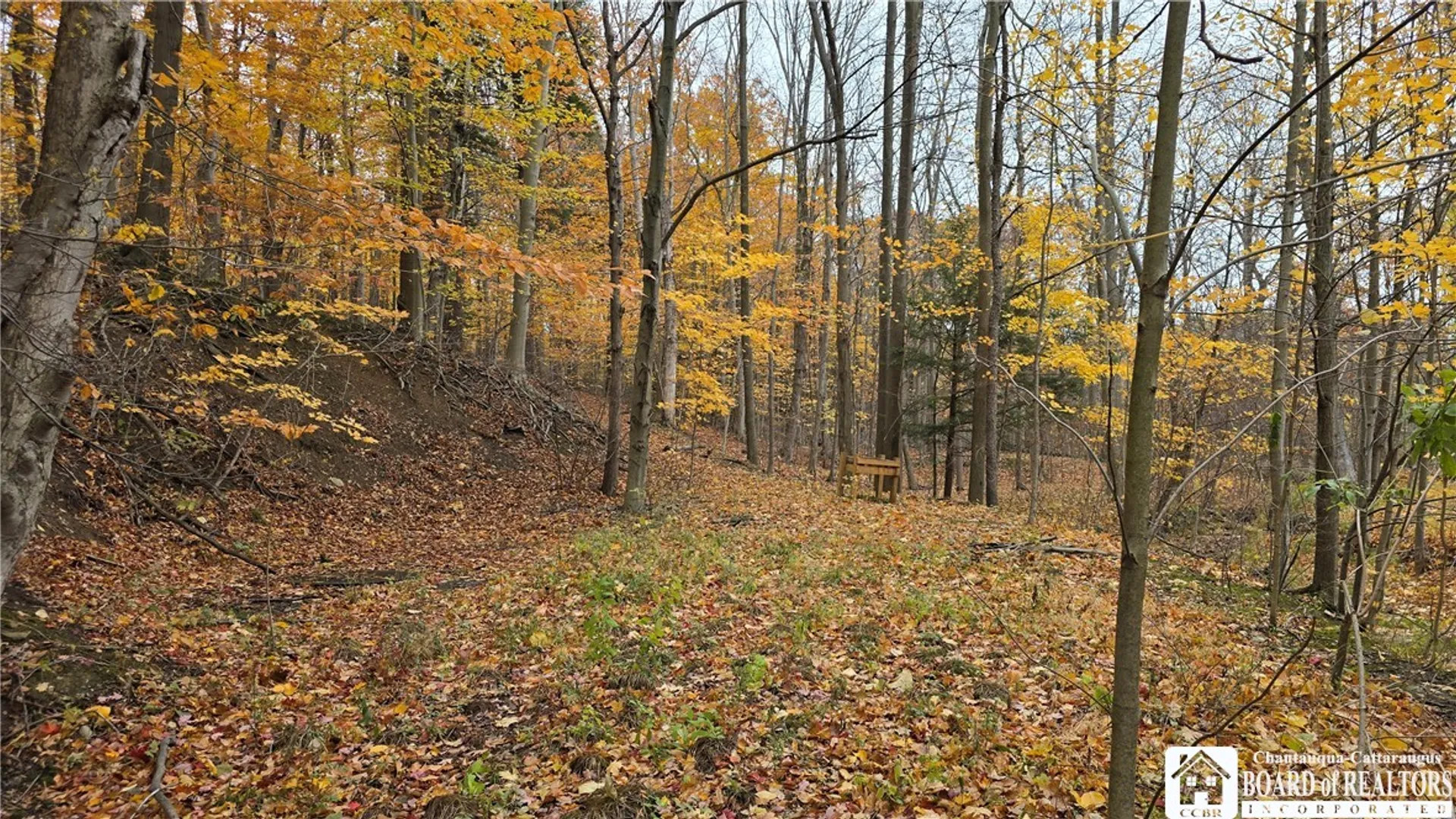 Property at 3194 Whitaker Road, Sheridan, NY 14063 37
