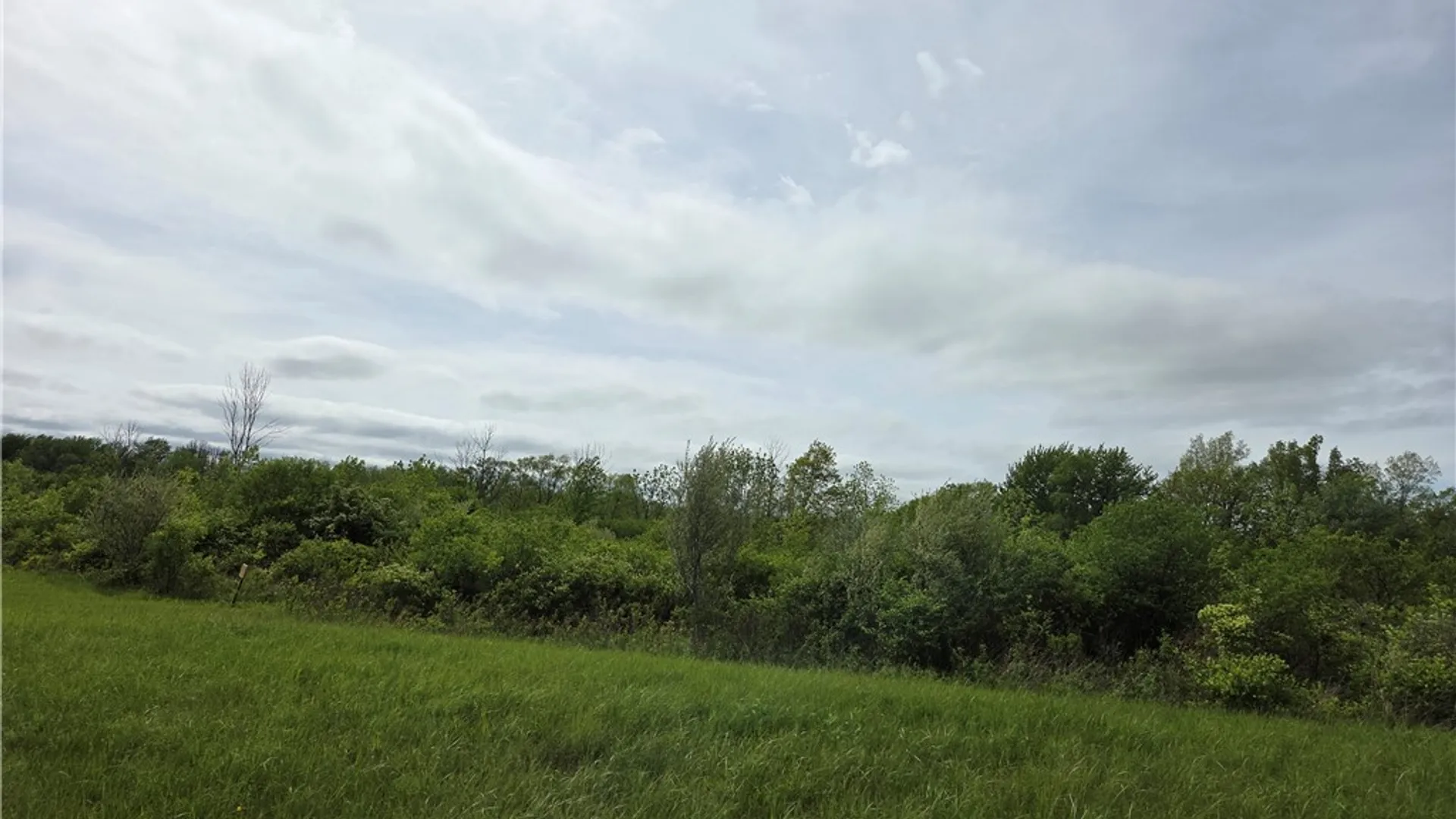 Property at North Road, Geneseo, NY 14454 3