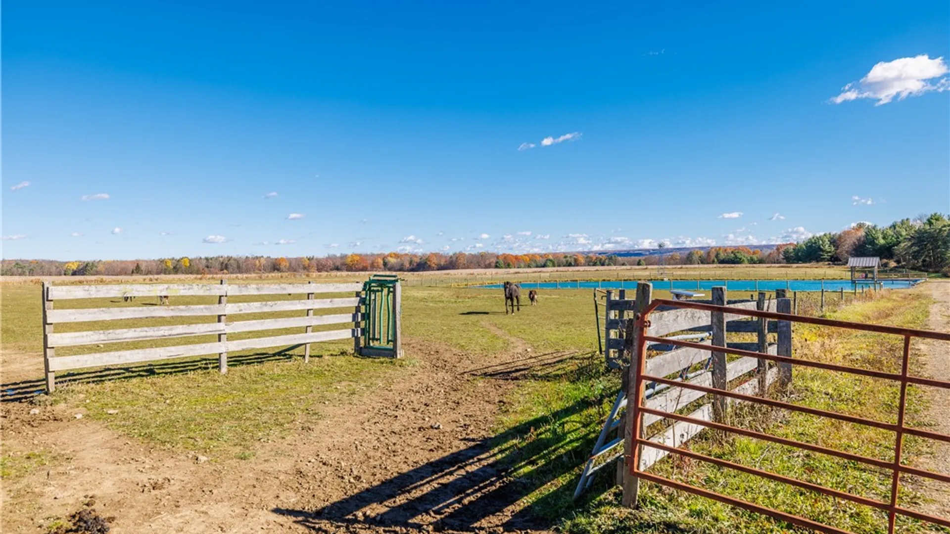 Property at 11742 Armison Road, Hume, NY 14735 41