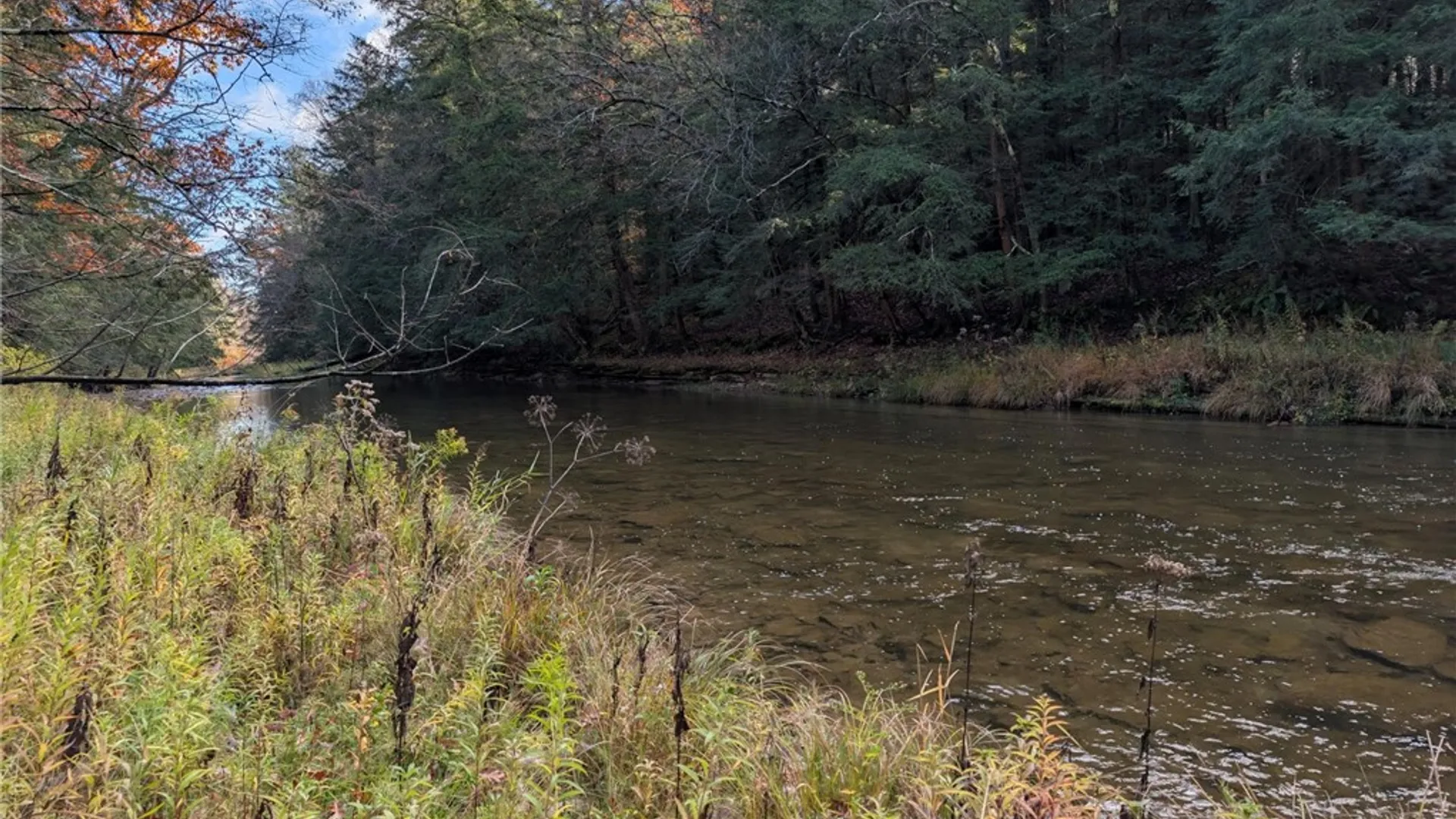 Property at 11742 Armison Road, Hume, NY 14735 48