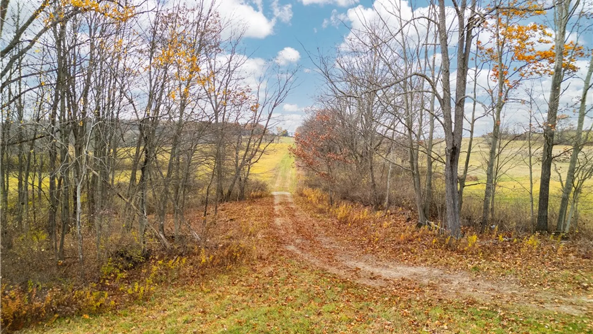 Property at 3444 County Route 2, Rathbone, NY 14801 7