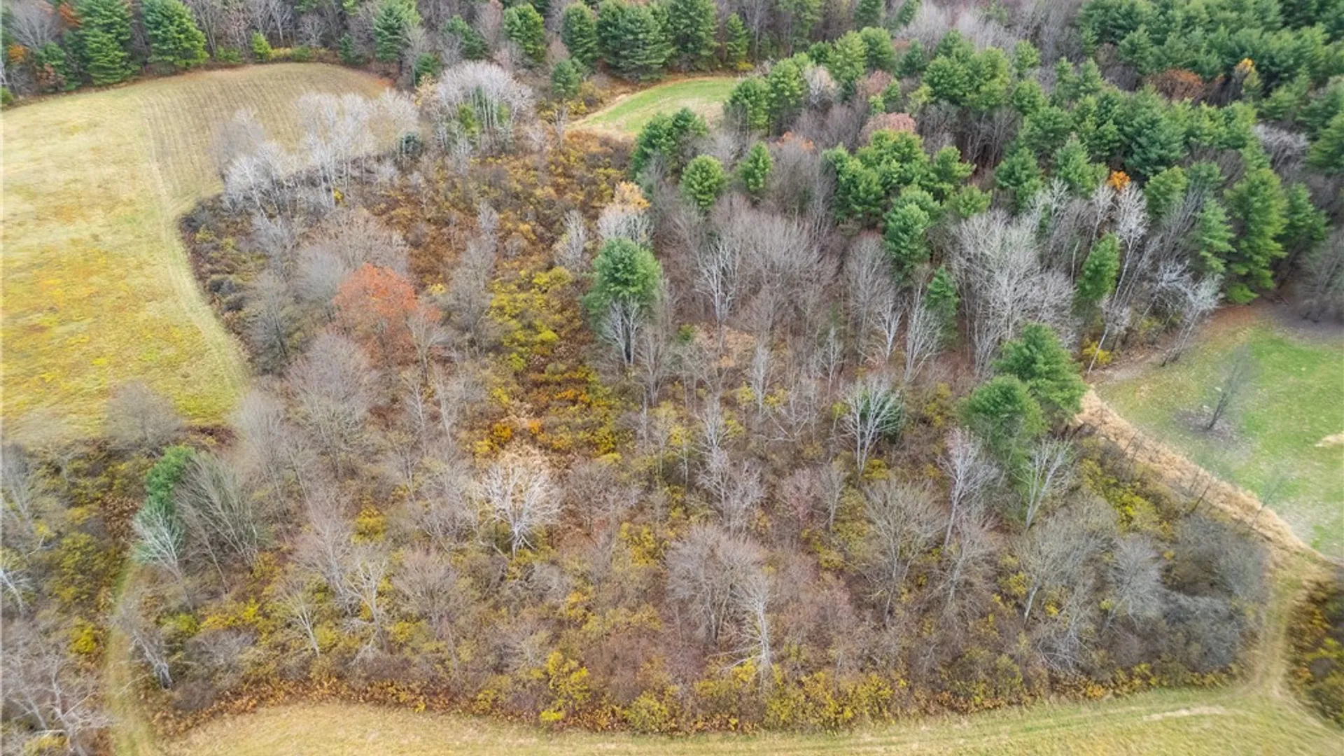 Property at 3444 County Route 2, Rathbone, NY 14801 10