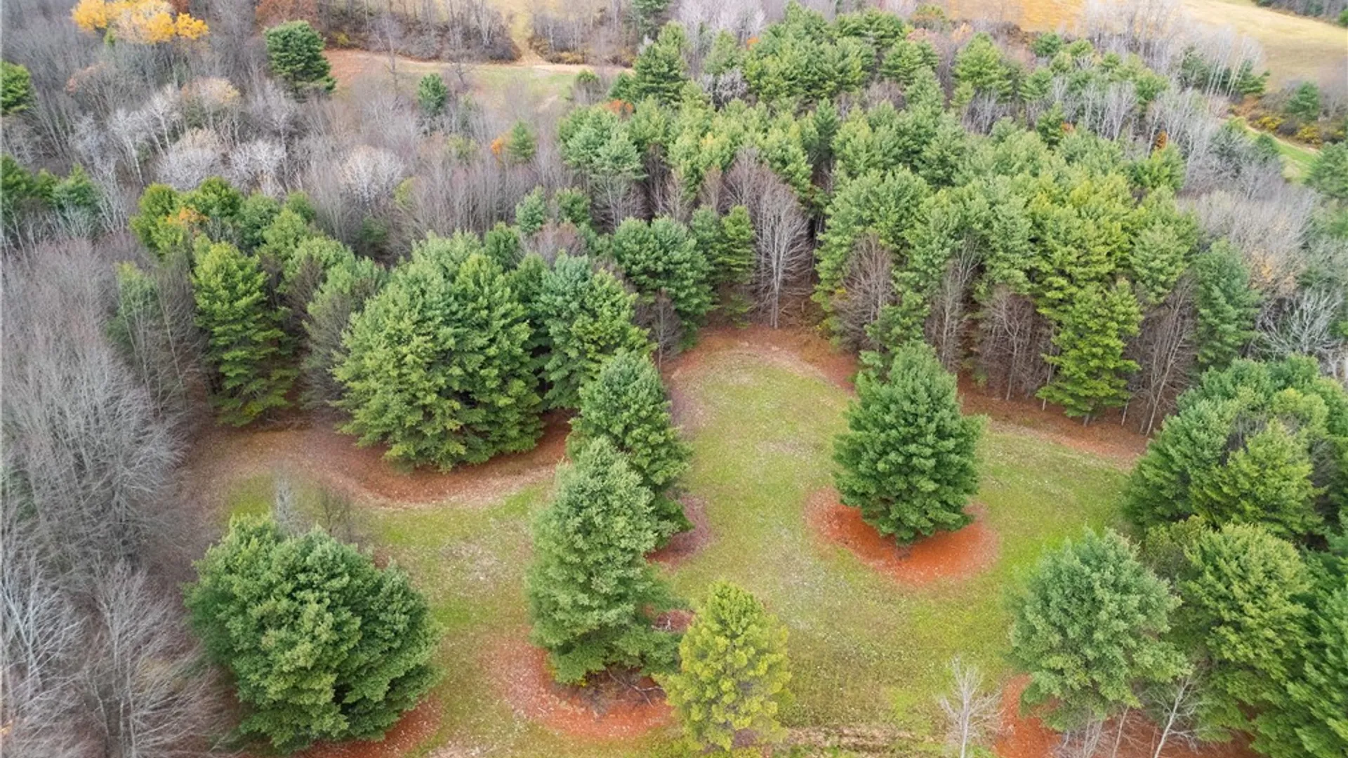 Property at 3444 County Route 2, Rathbone, NY 14801 18