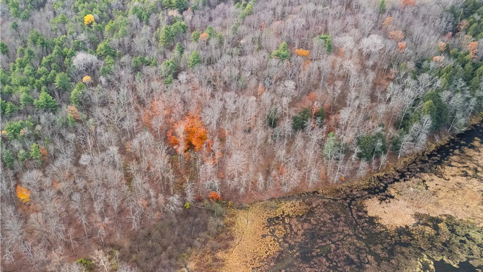 Property at 3444 County Route 2, Rathbone, NY 14801 24