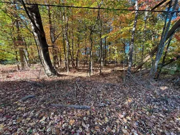 Property at 0 Stainton Drive, Hamburg, NY 14075