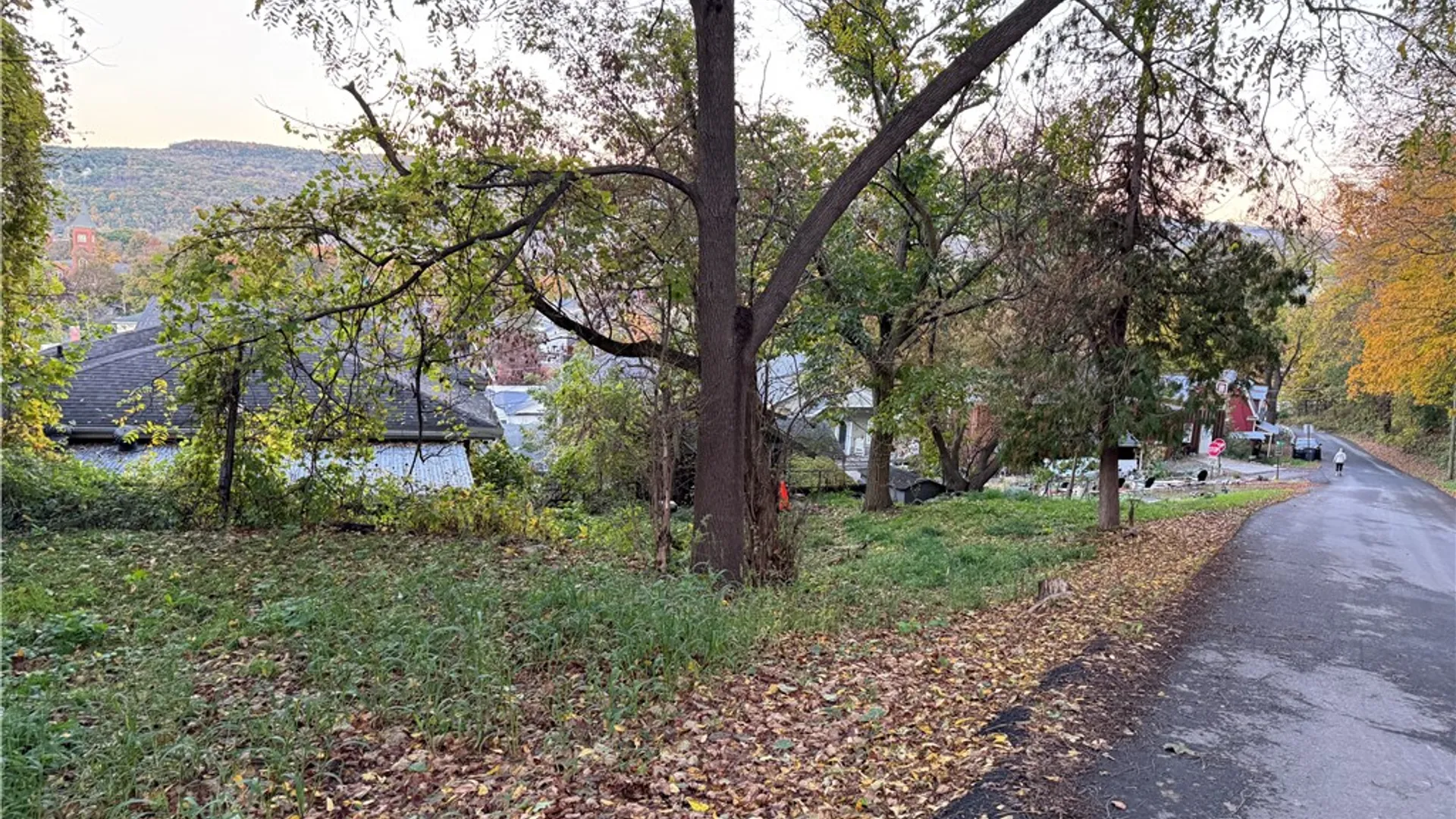 Property at 143 S Monroe Street, Dix, NY 14891 42