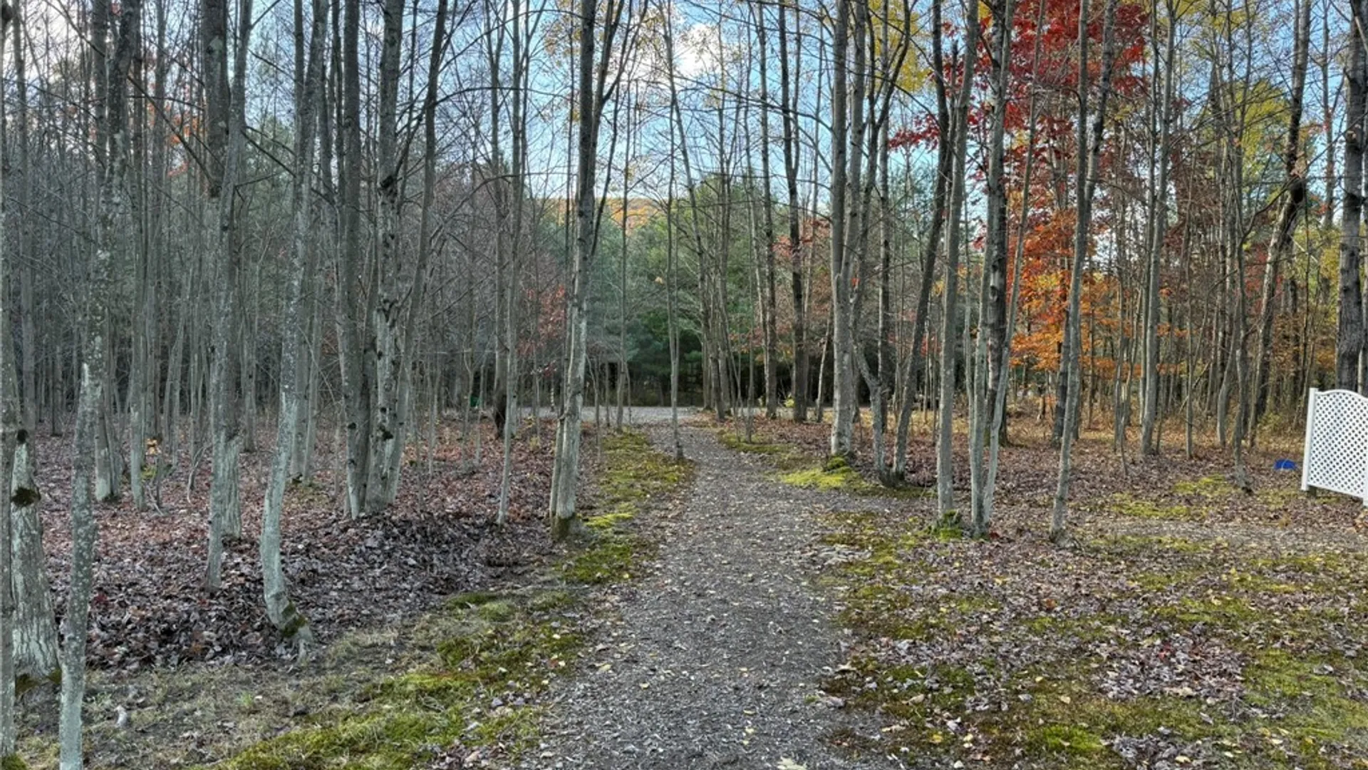 Property at 2532 Cr-22, Orange, NY 14812 30