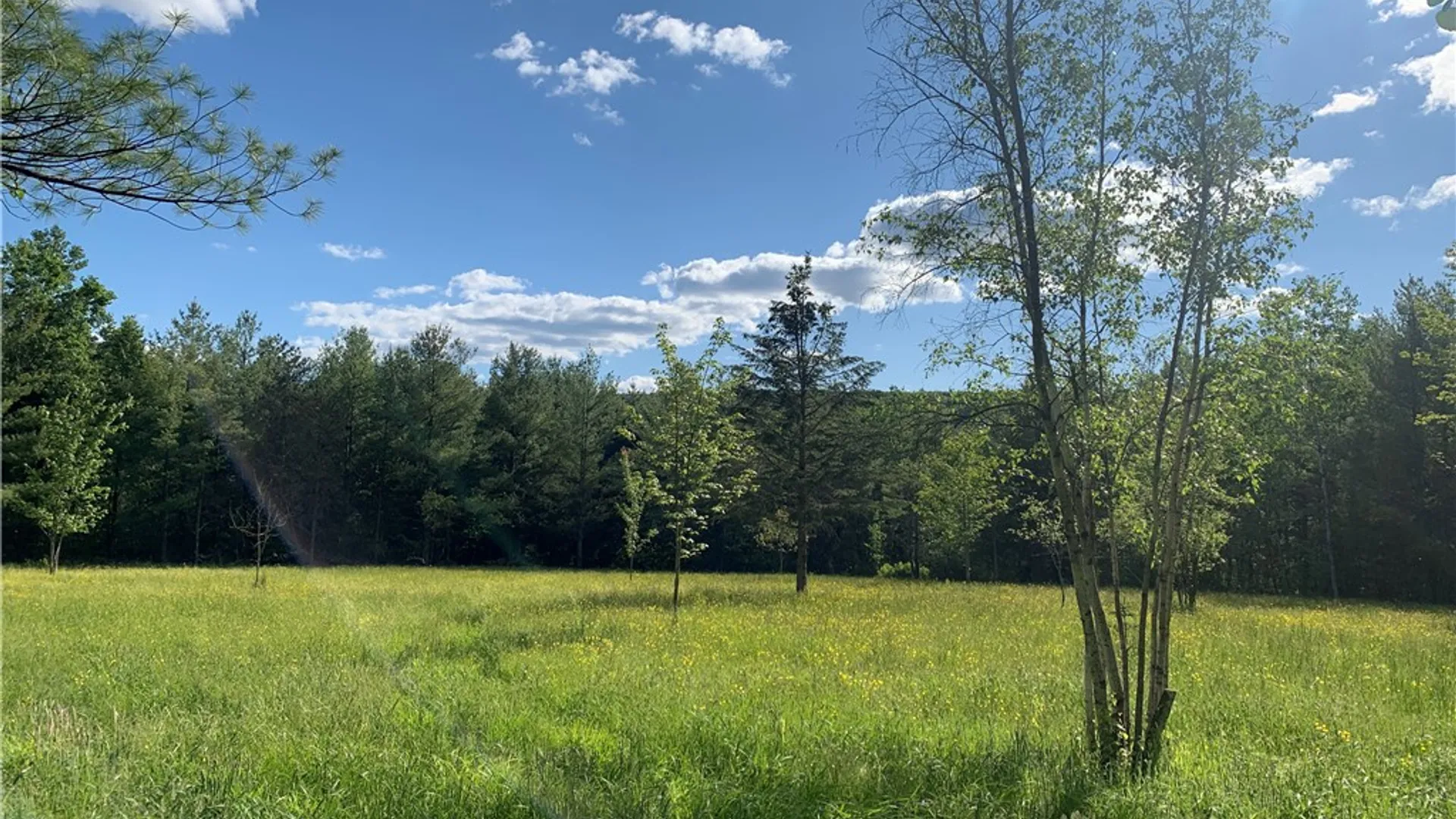 Property at 2532 Cr-22, Orange, NY 14812 31