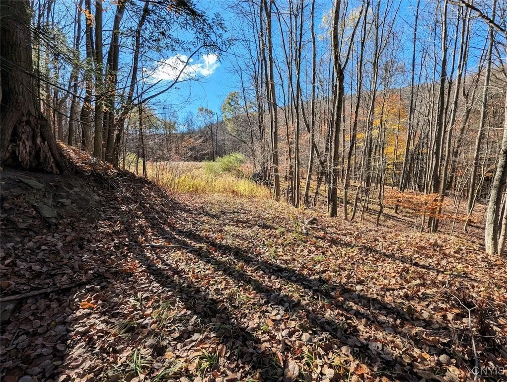 Property at County Road 126, Greenwood, NY 14839