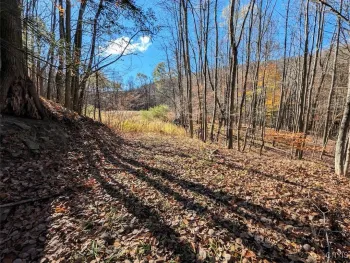 Property at County Road 126, Greenwood, NY 14839