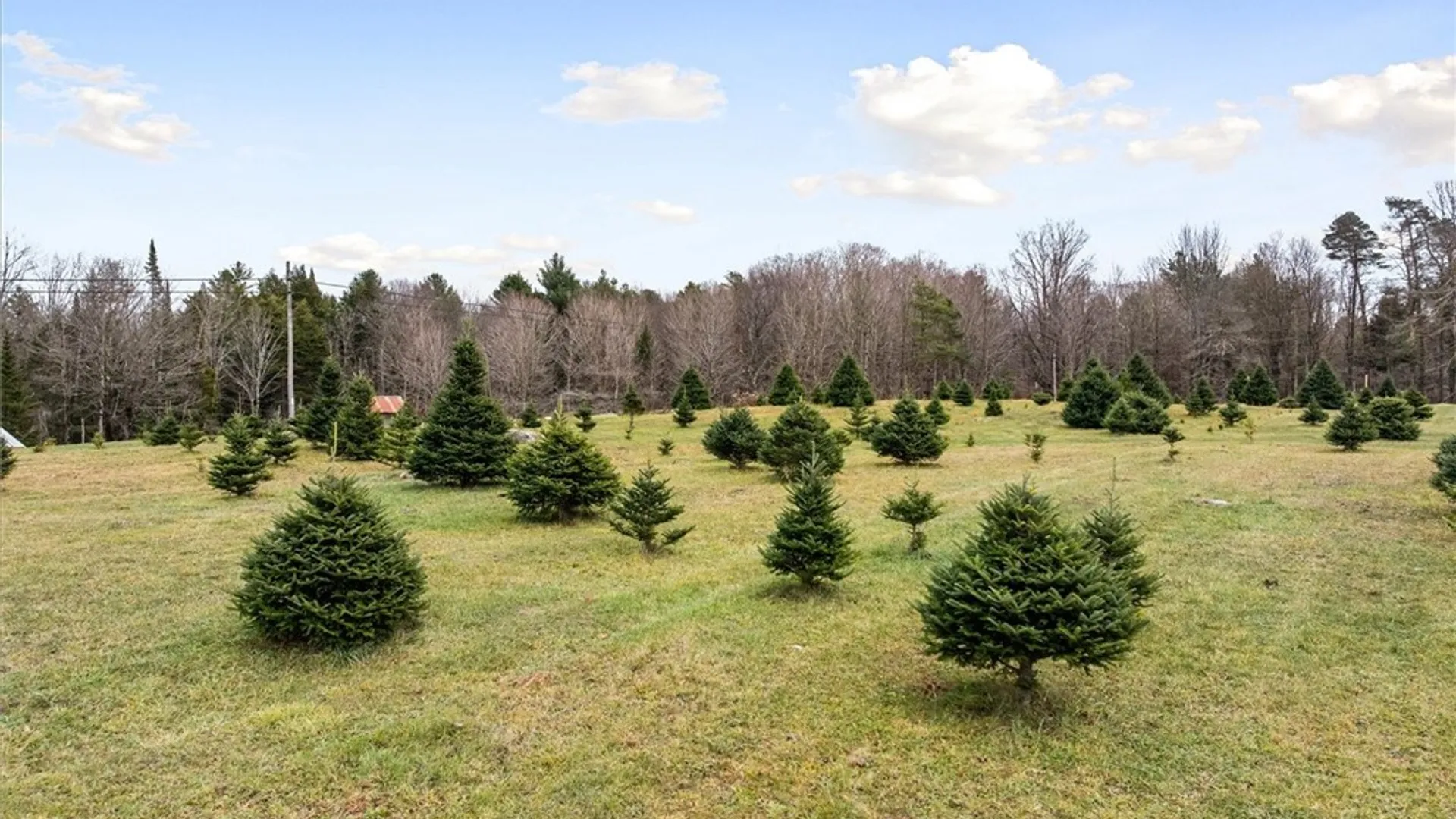 Property at 11338 Rt-12, Boonville, NY 13309 20