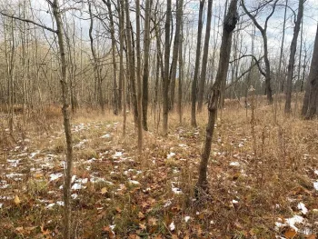Property at County Road 15, Granger, NY 14846