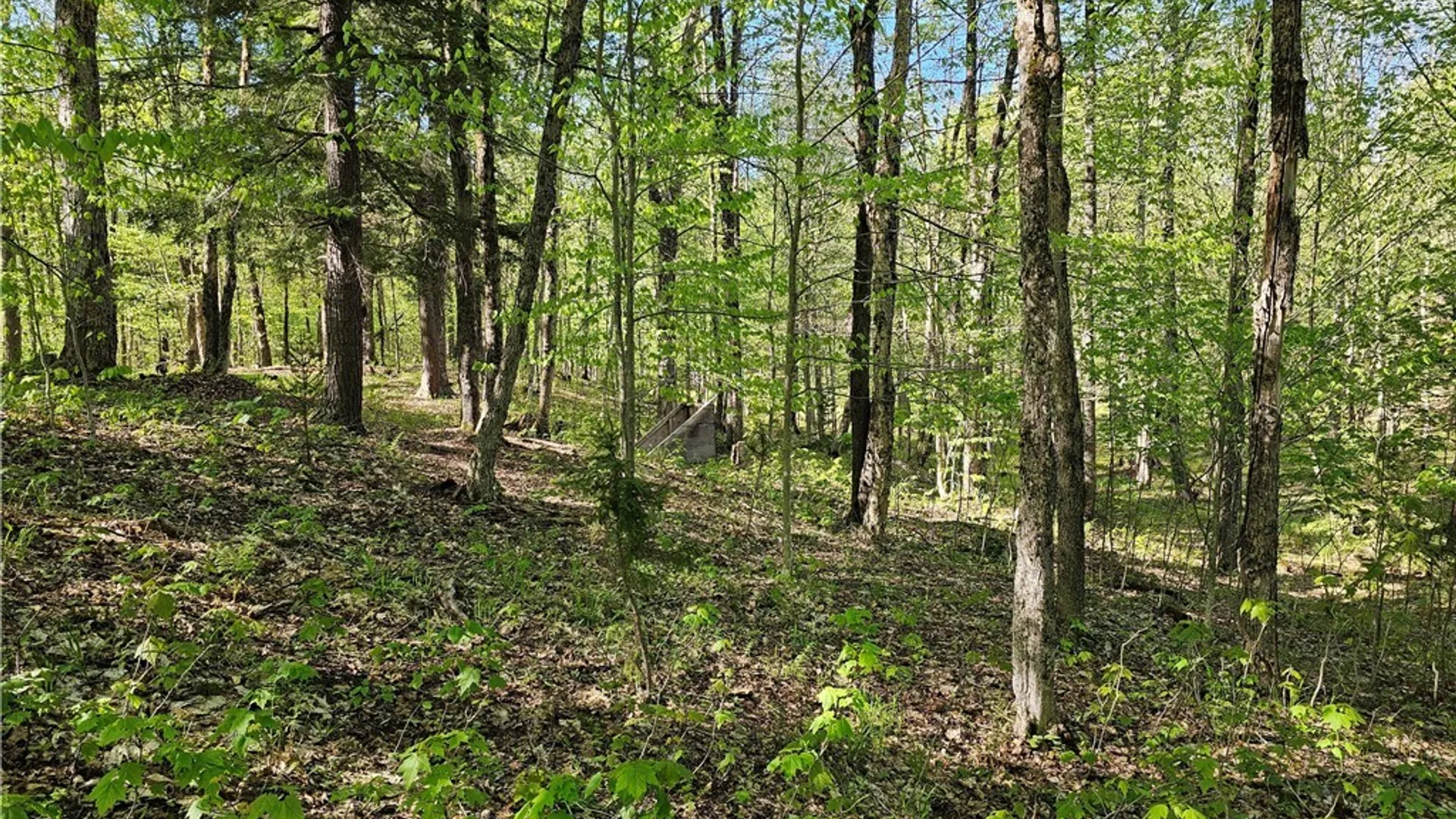 Property at Long Pond Road, Croghan, NY 13327 10
