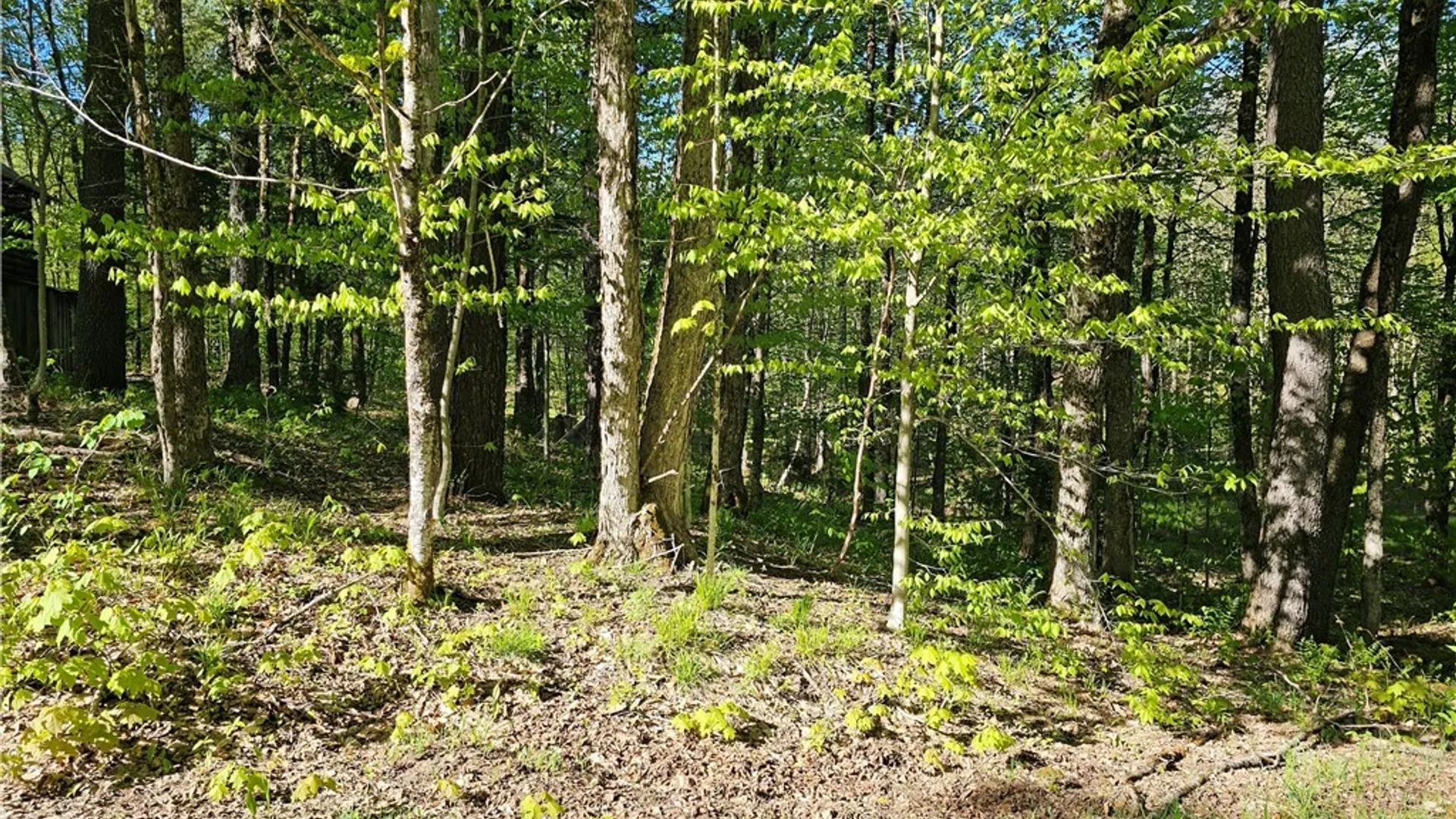 Property at Long Pond Road, Croghan, NY 13327 11