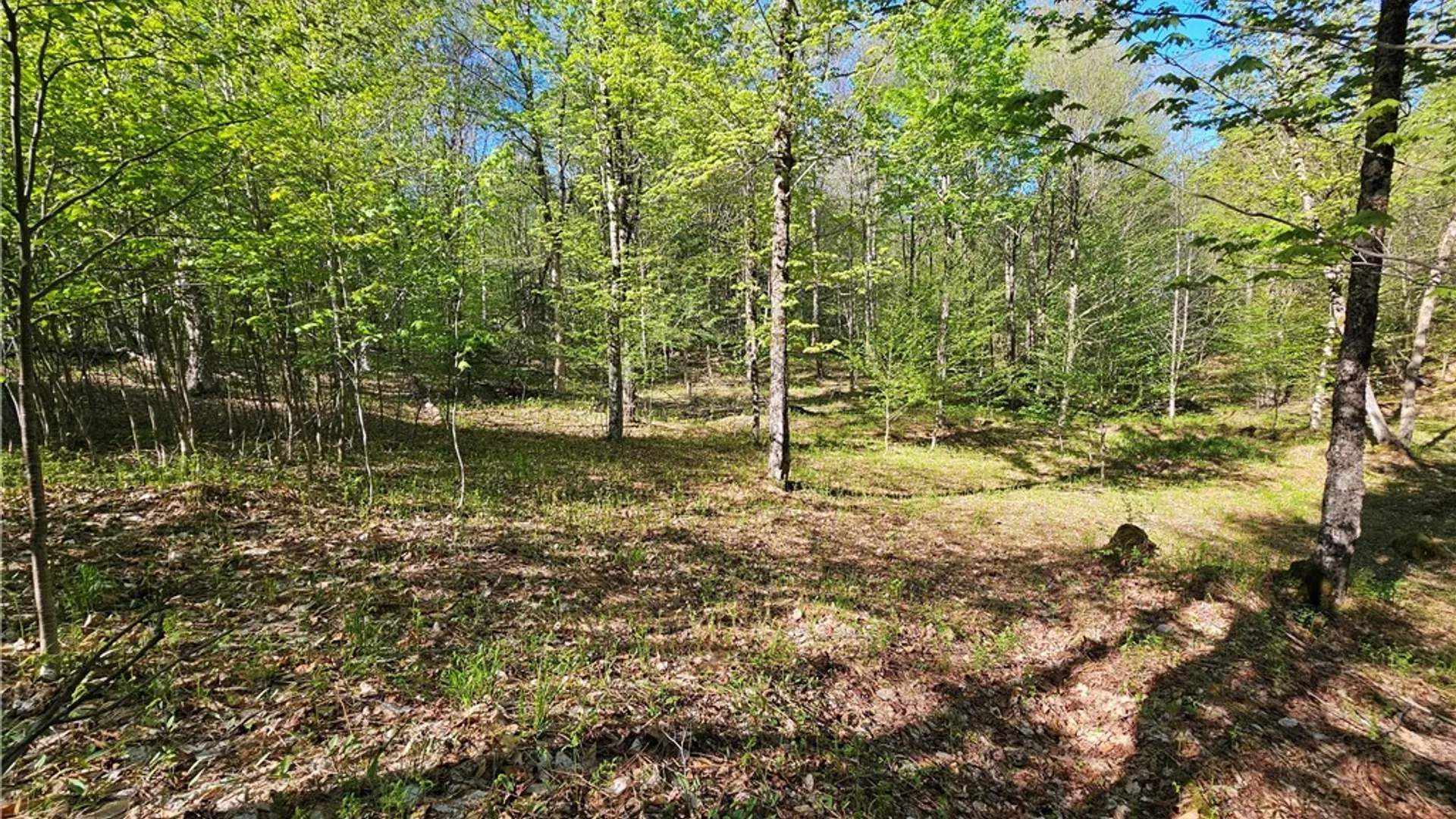 Property at Long Pond Road, Croghan, NY 13327 12