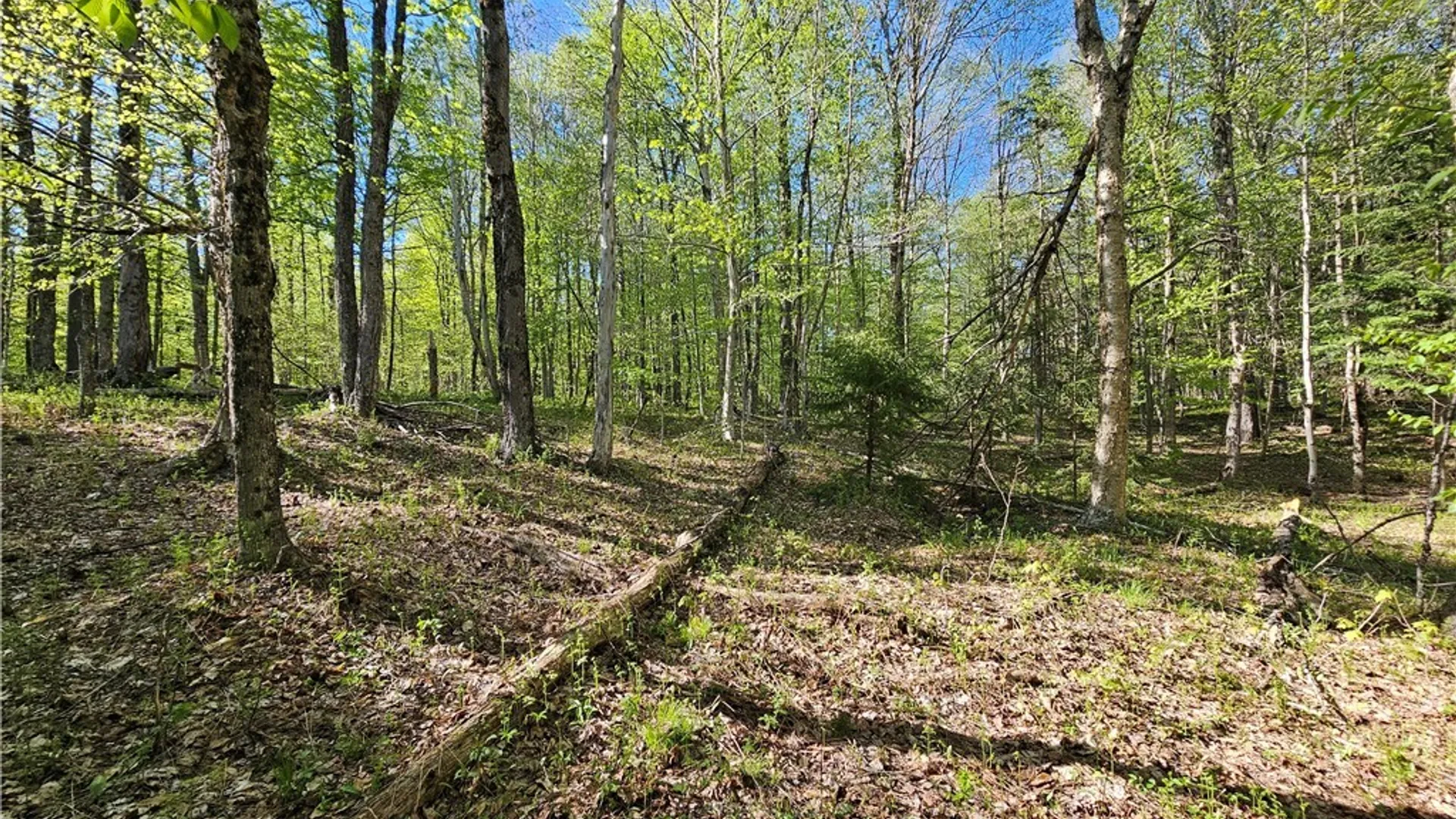 Property at Long Pond Road, Croghan, NY 13327 14