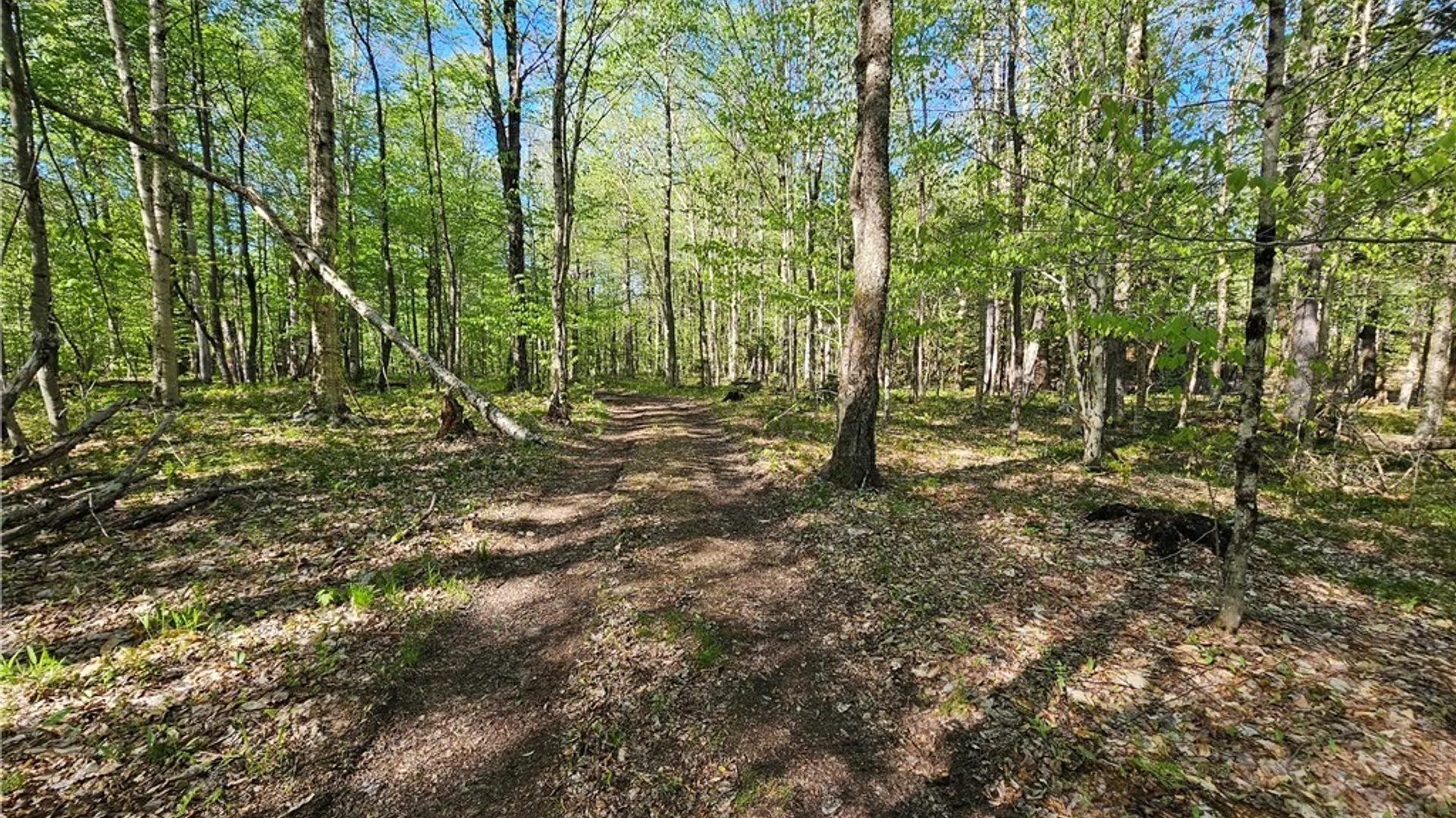 Property at Long Pond Road, Croghan, NY 13327 15