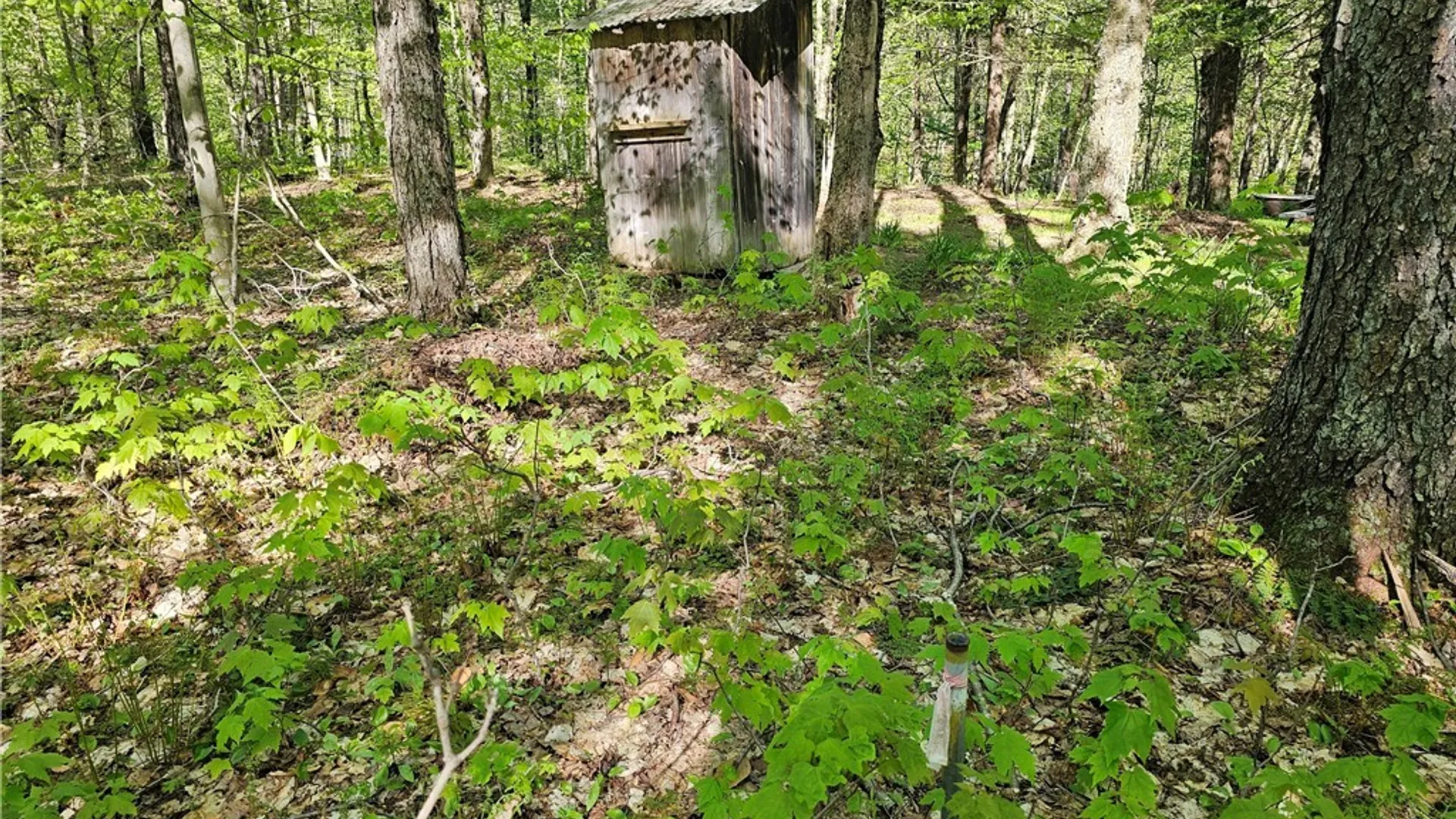 Property at Long Pond Road, Croghan, NY 13327 18