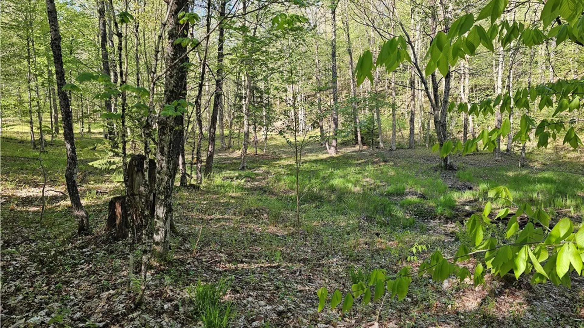 Property at Long Pond Road, Croghan, NY 13327 2