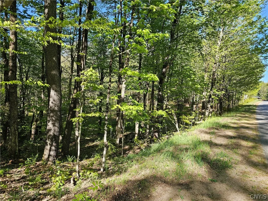 Property at Long Pond Road, Croghan, NY 13327