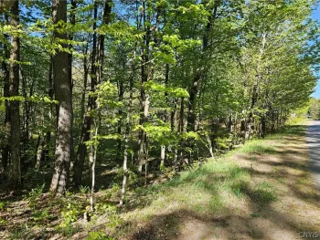 Property at Long Pond Road, Croghan, NY 13327