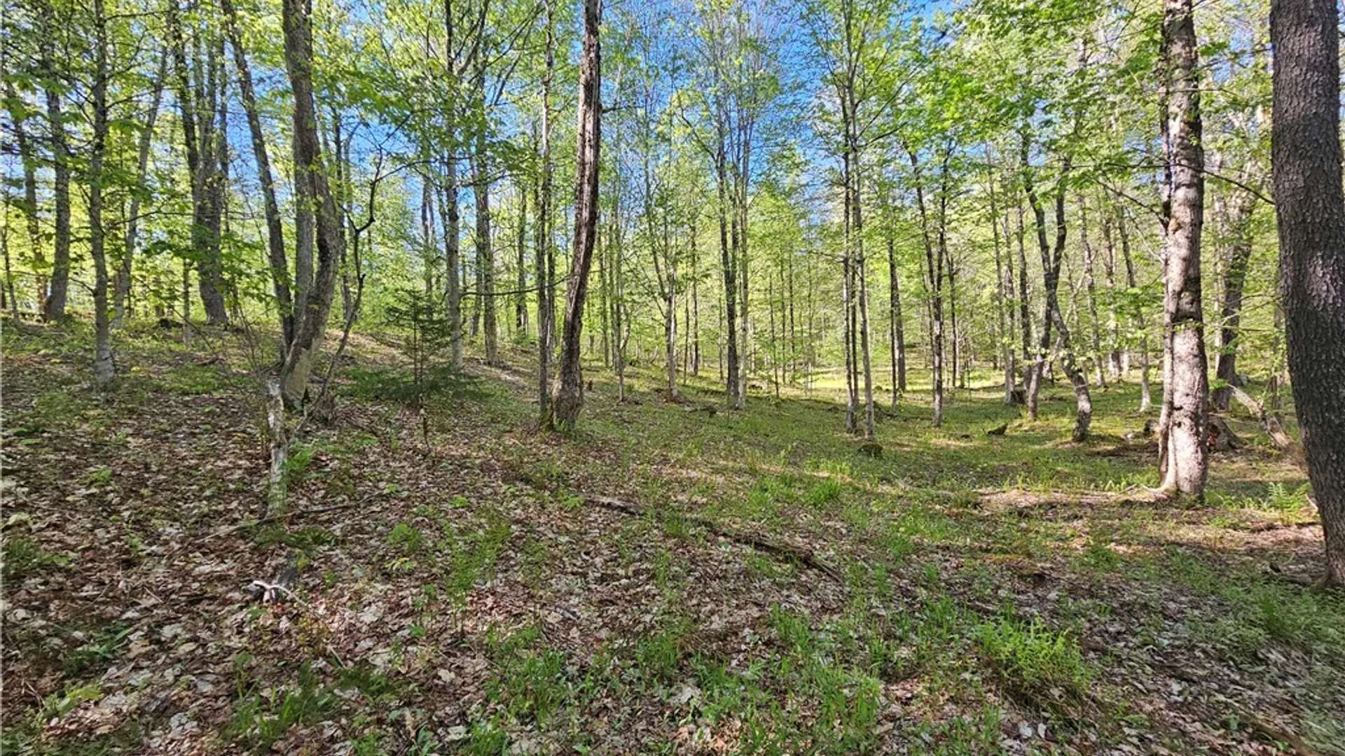 Property at Long Pond Road, Croghan, NY 13327 4